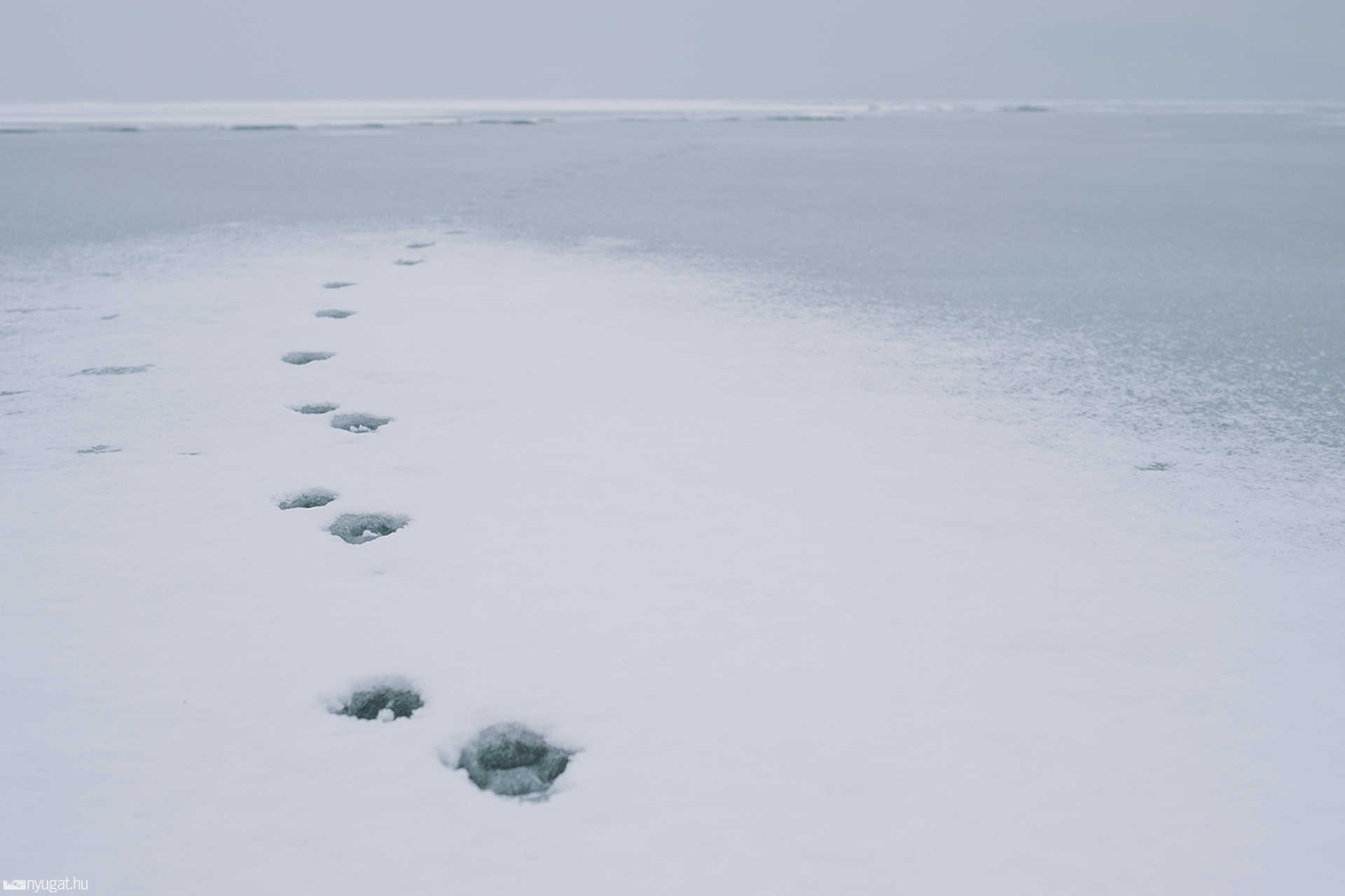 Jeges Balaton