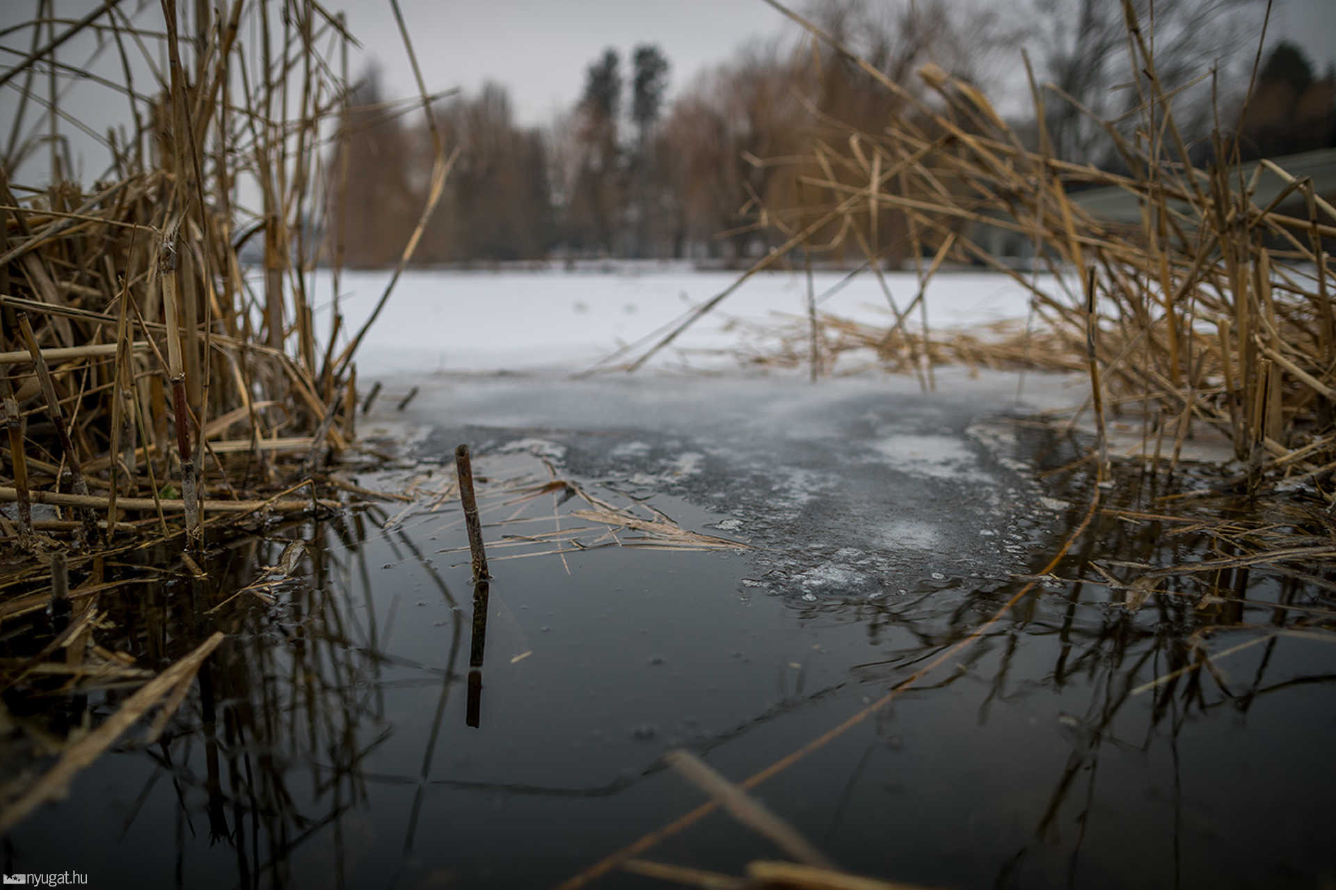 Fagyos, téli képek Szombathelyről