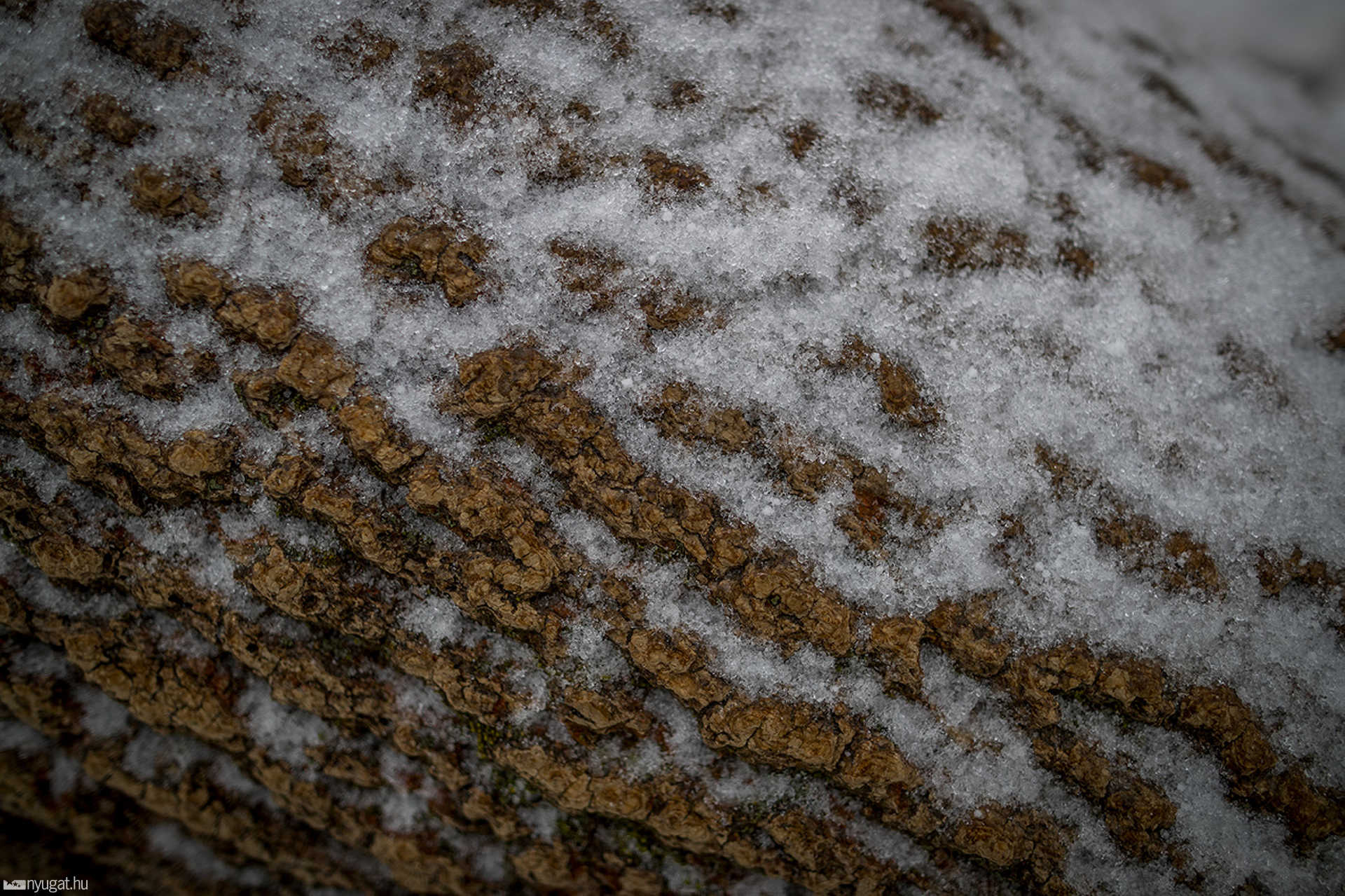 Fagyos, téli képek Szombathelyről