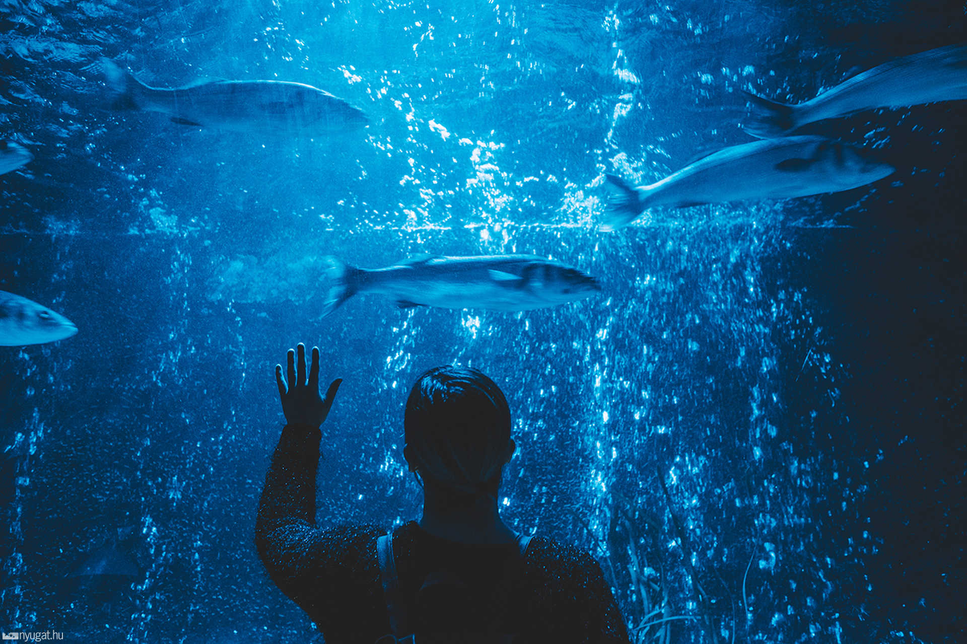 Sea Life München aquarium
