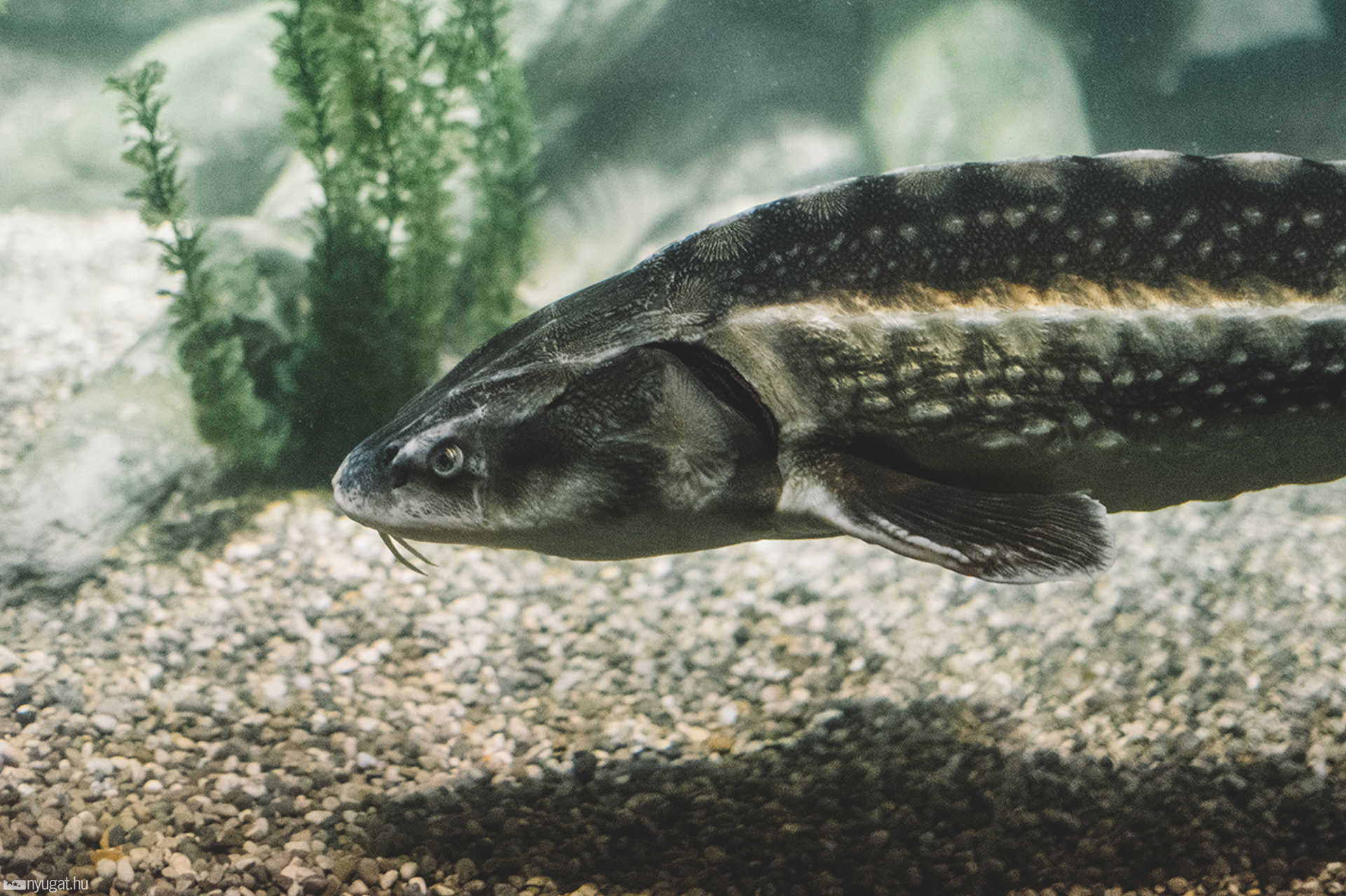 Sea Life München aquarium