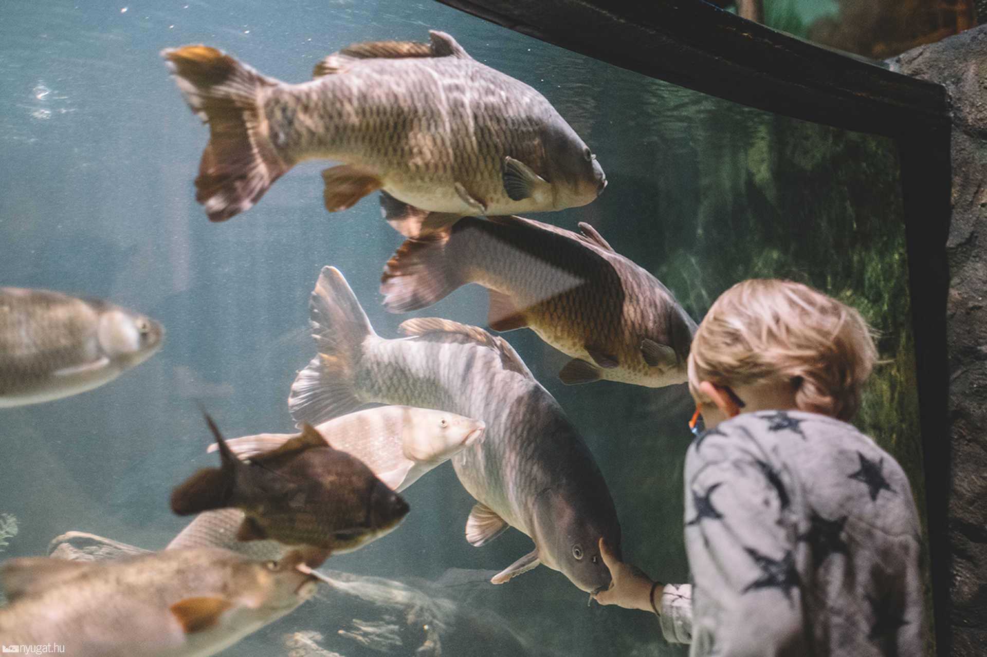 Sea Life München aquarium