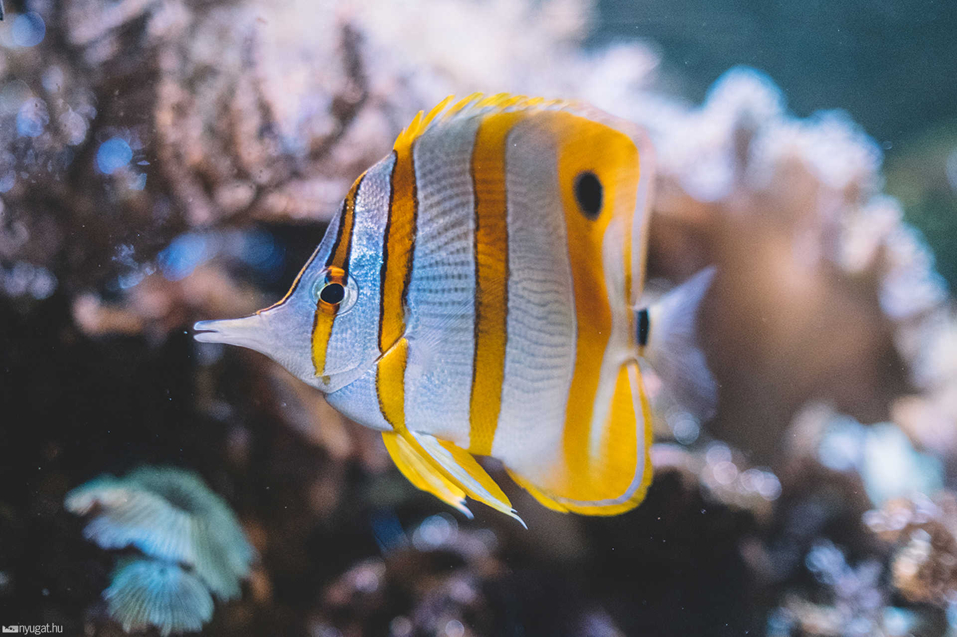 Sea Life München aquarium