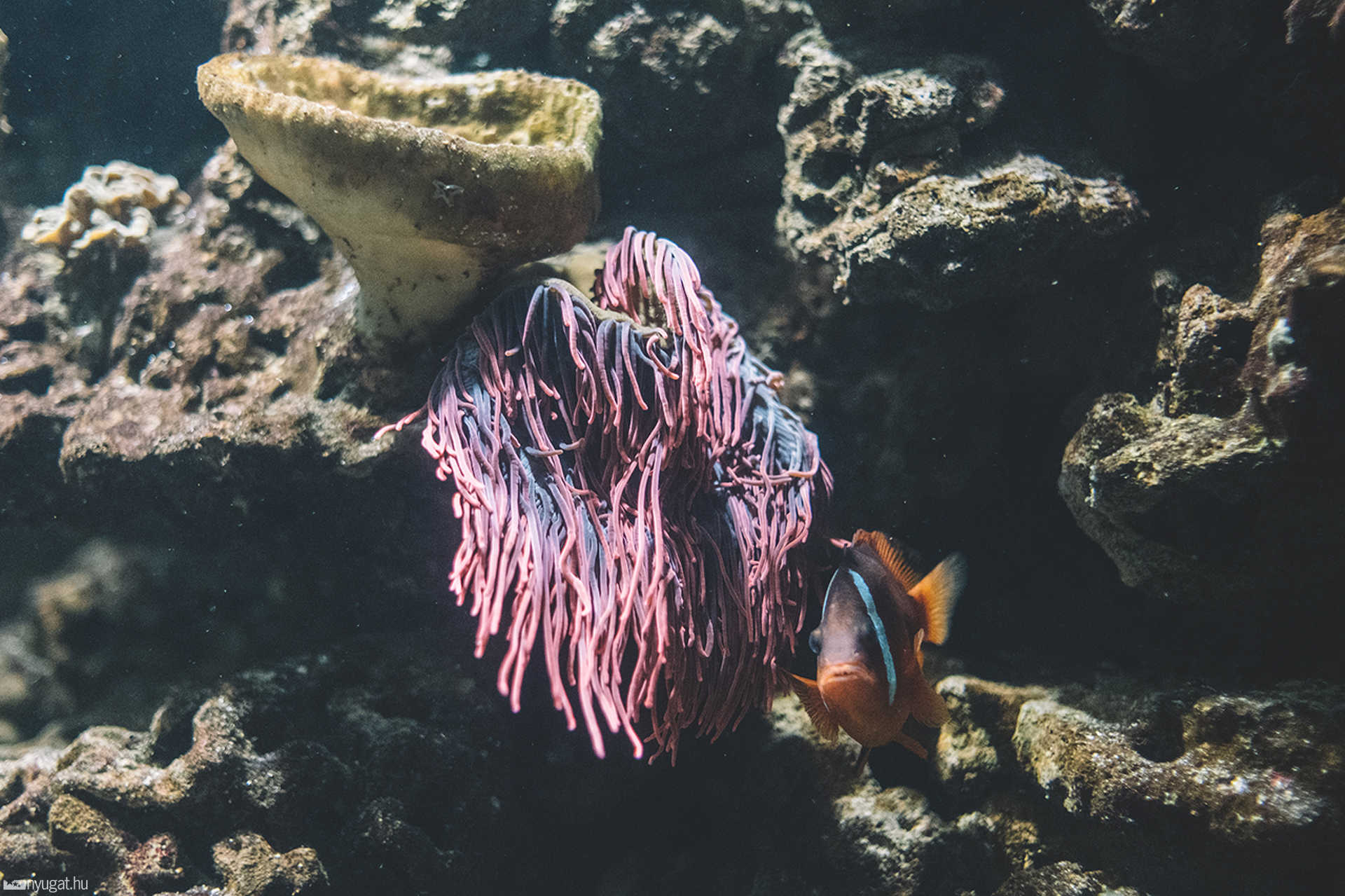 Sea Life München aquarium