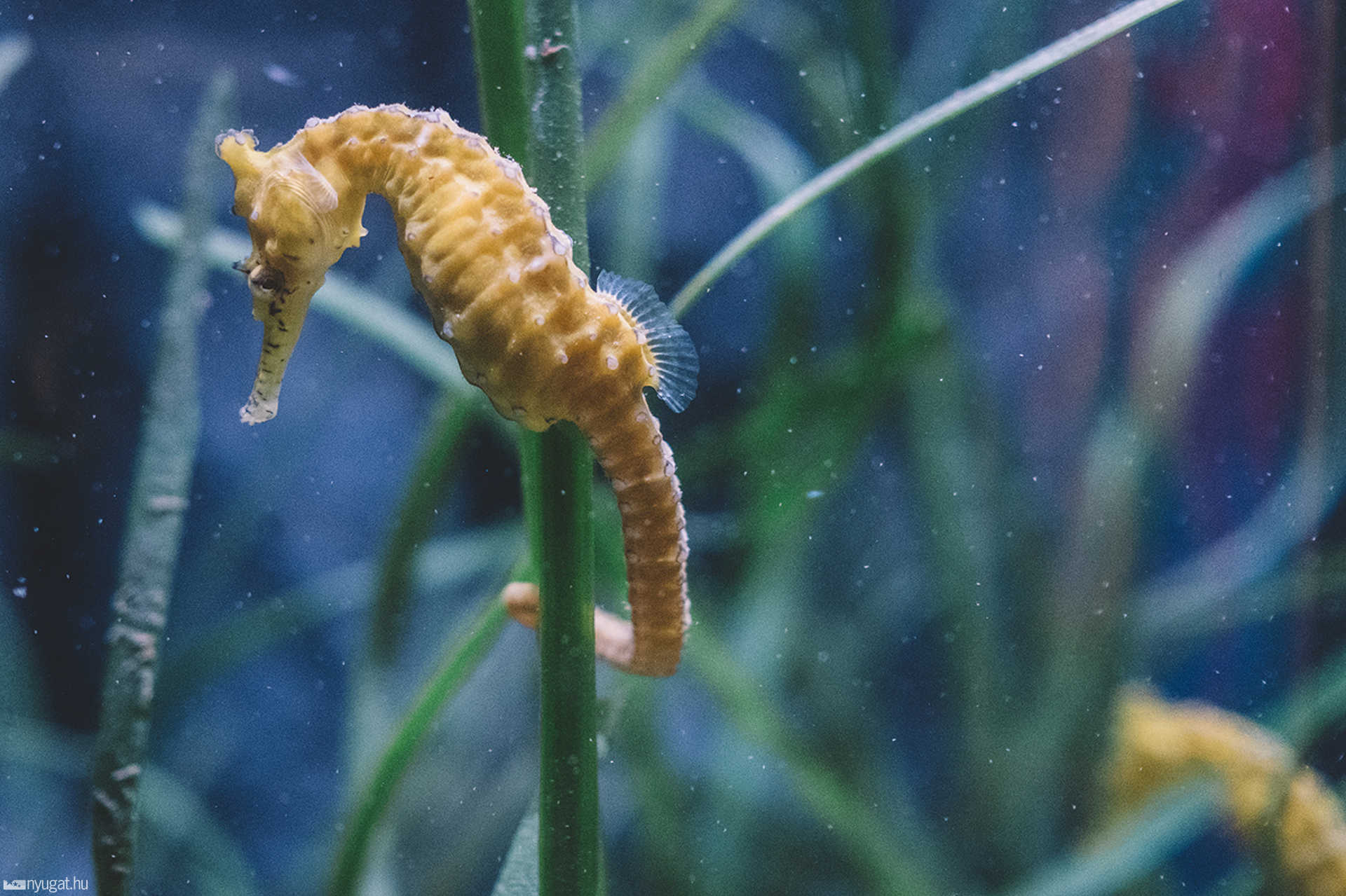 Sea Life München aquarium