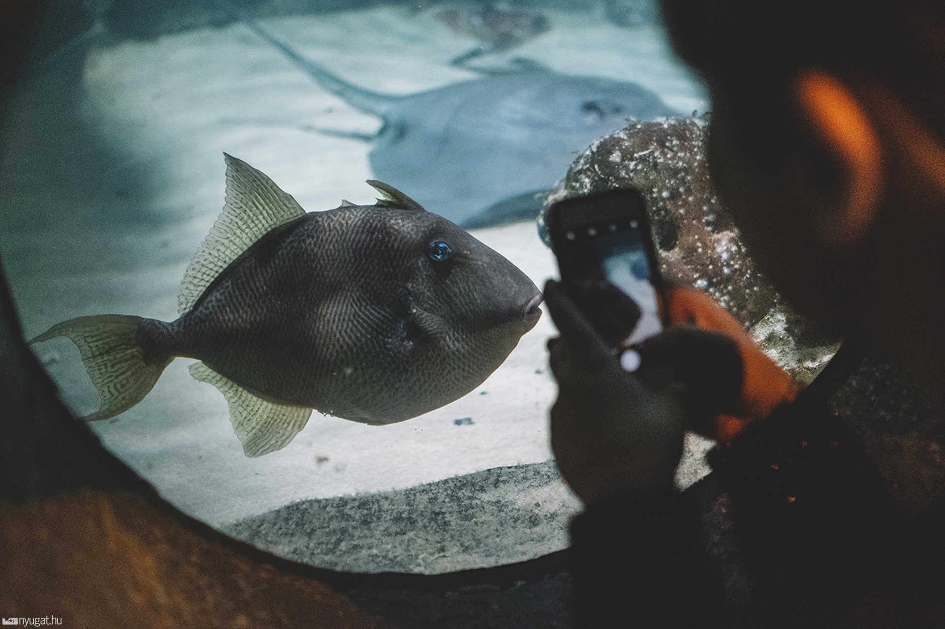 Sea Life München aquarium