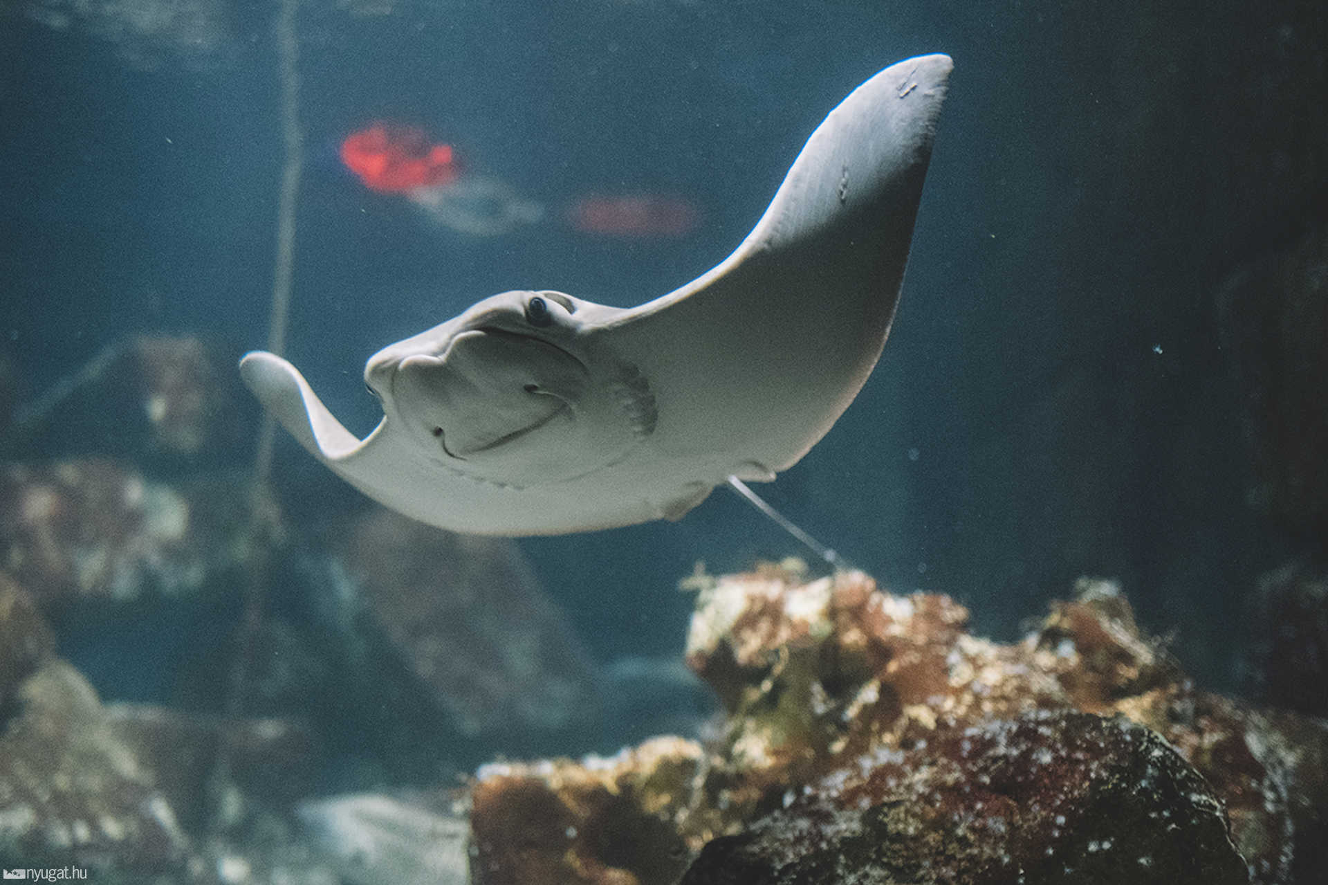 Sea Life München aquarium
