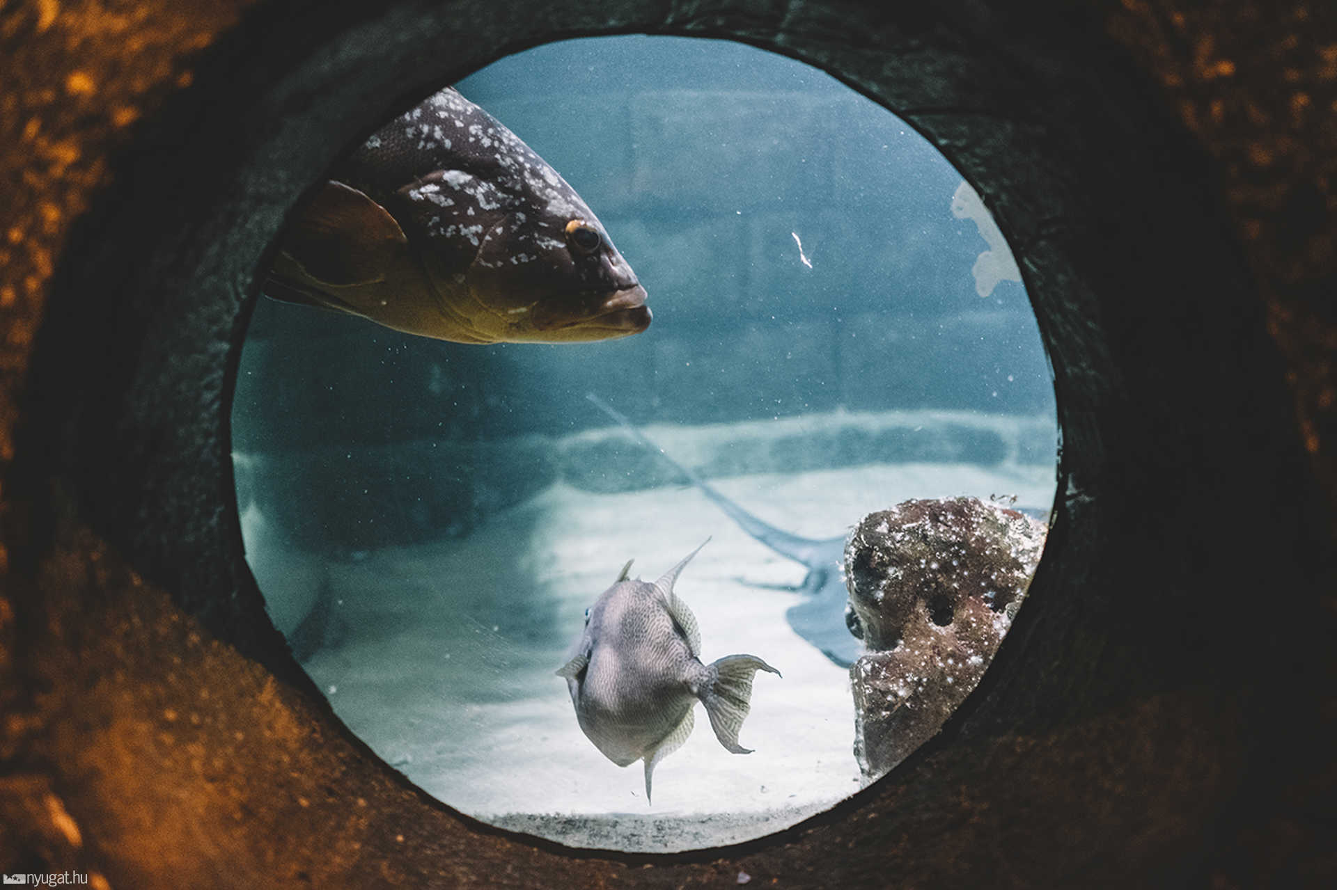 Sea Life München aquarium
