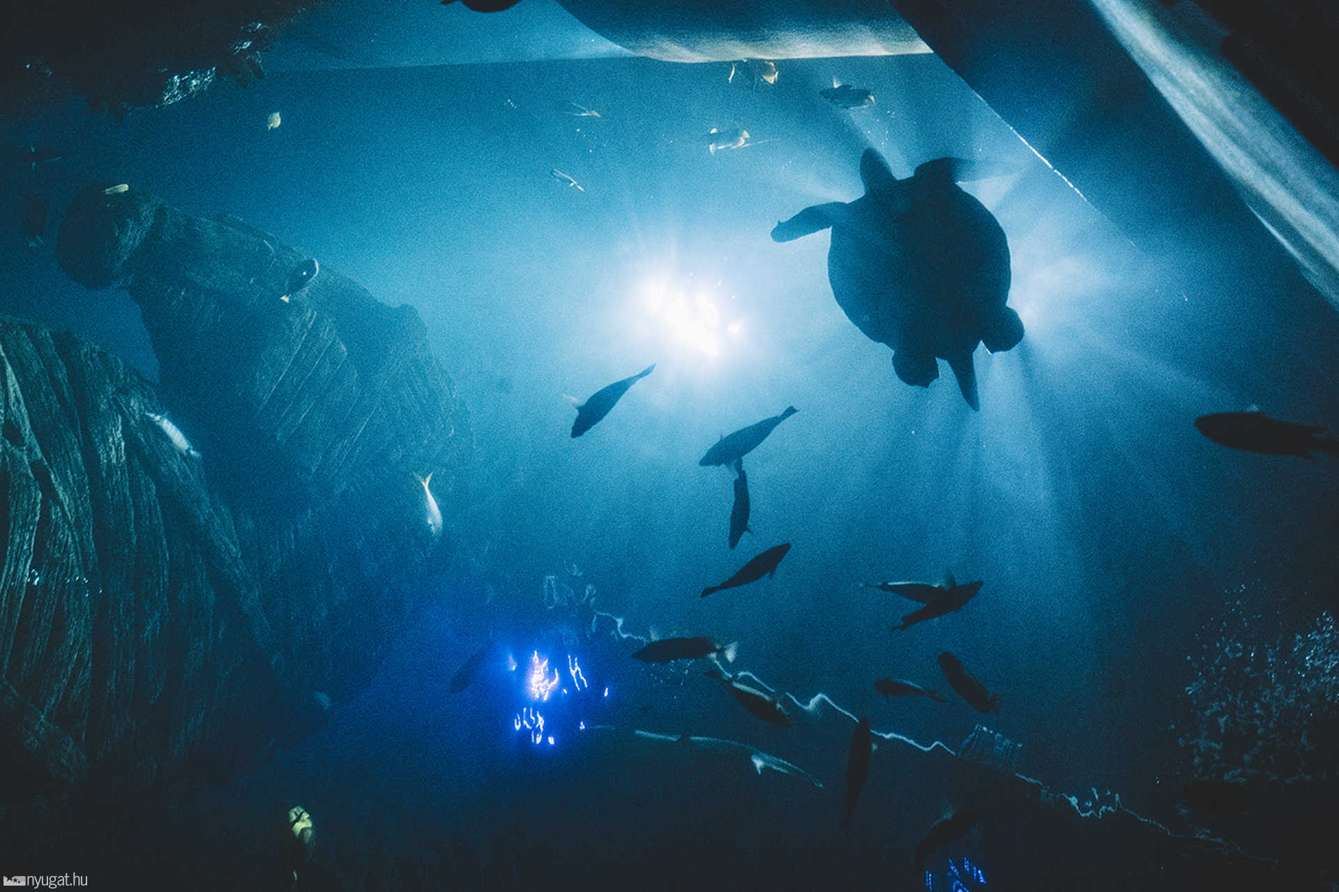Sea Life München aquarium
