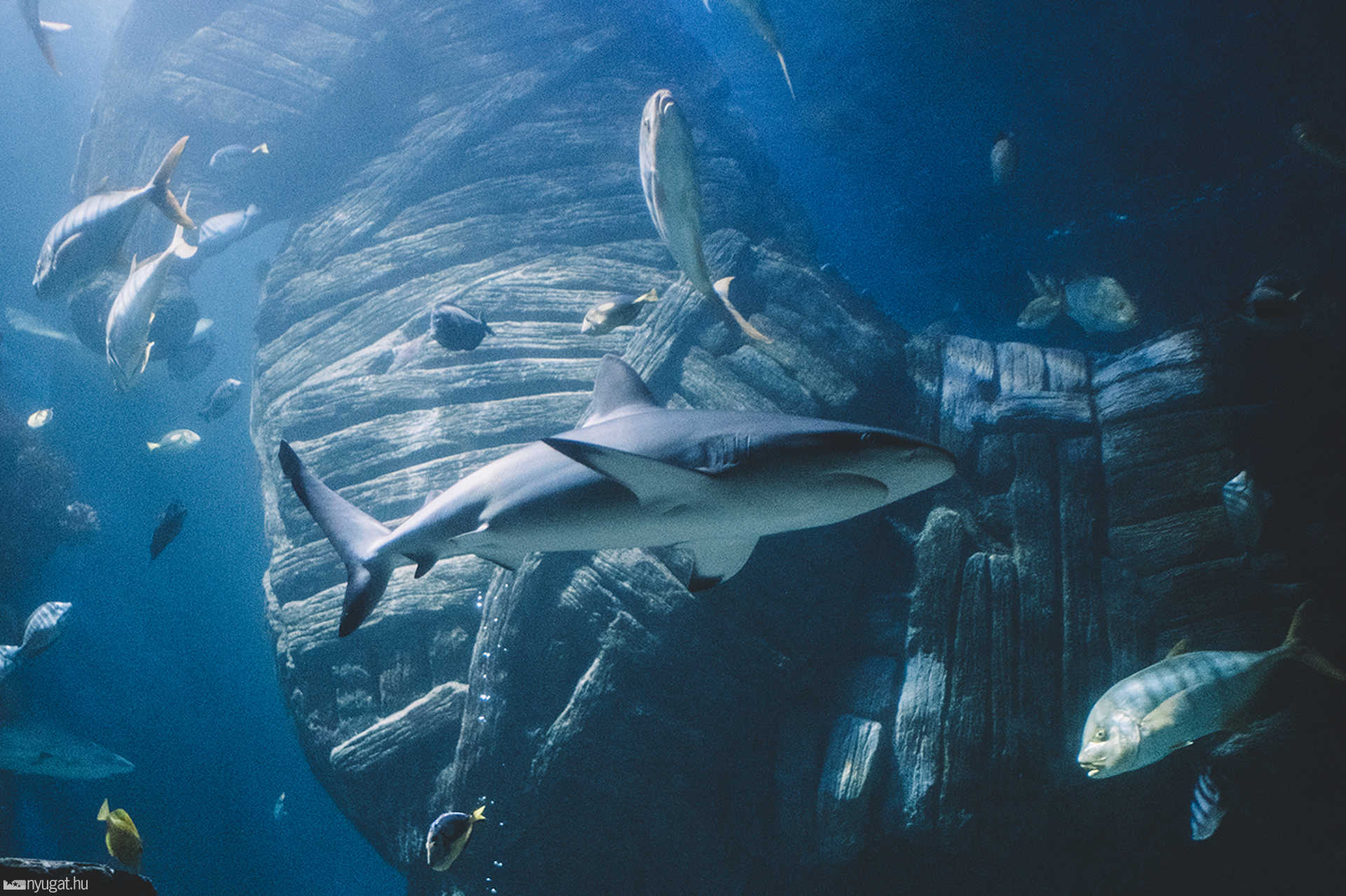 Sea Life München aquarium