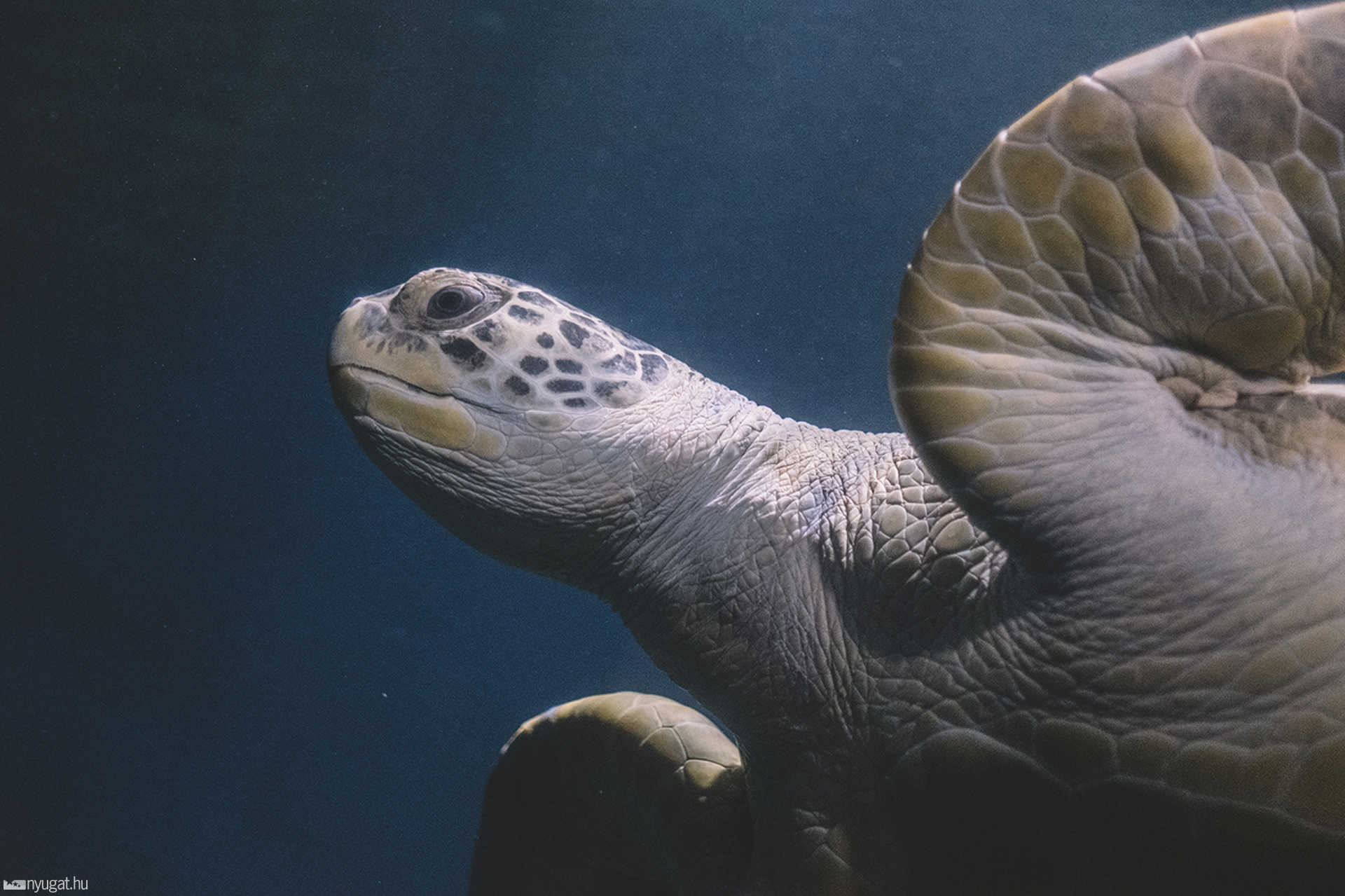 Sea Life München aquarium