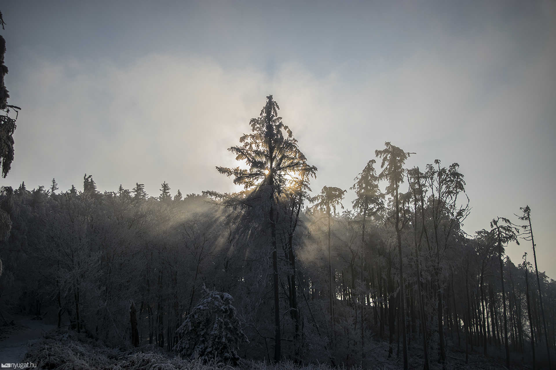Az Írottkő és környéke 2017 február 13-án