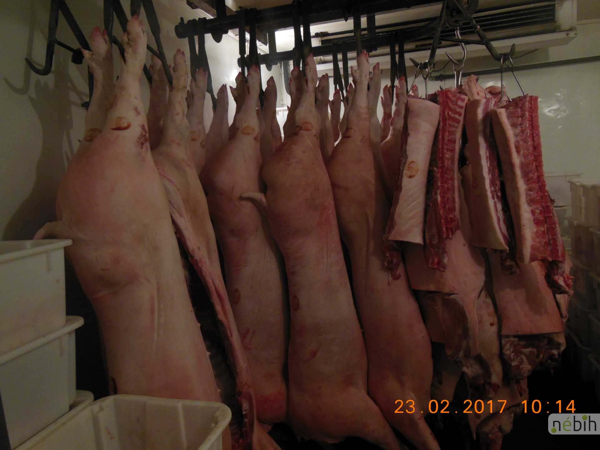 Egérrágta disznósajt és elborzasztó körülmények egy húsboltban 