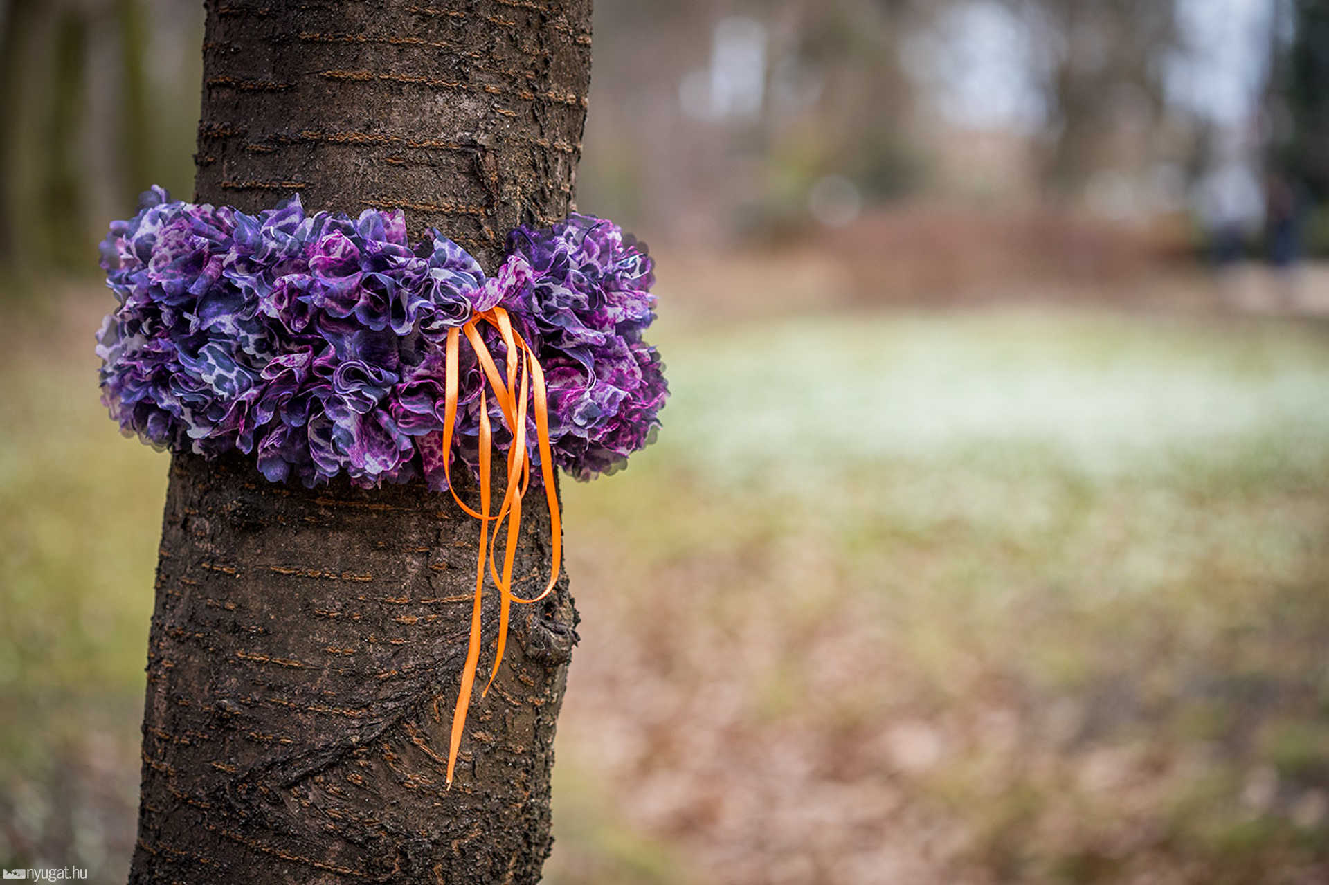 Színes műalkotásokba öltöztek a Kámoni Arborétum fái