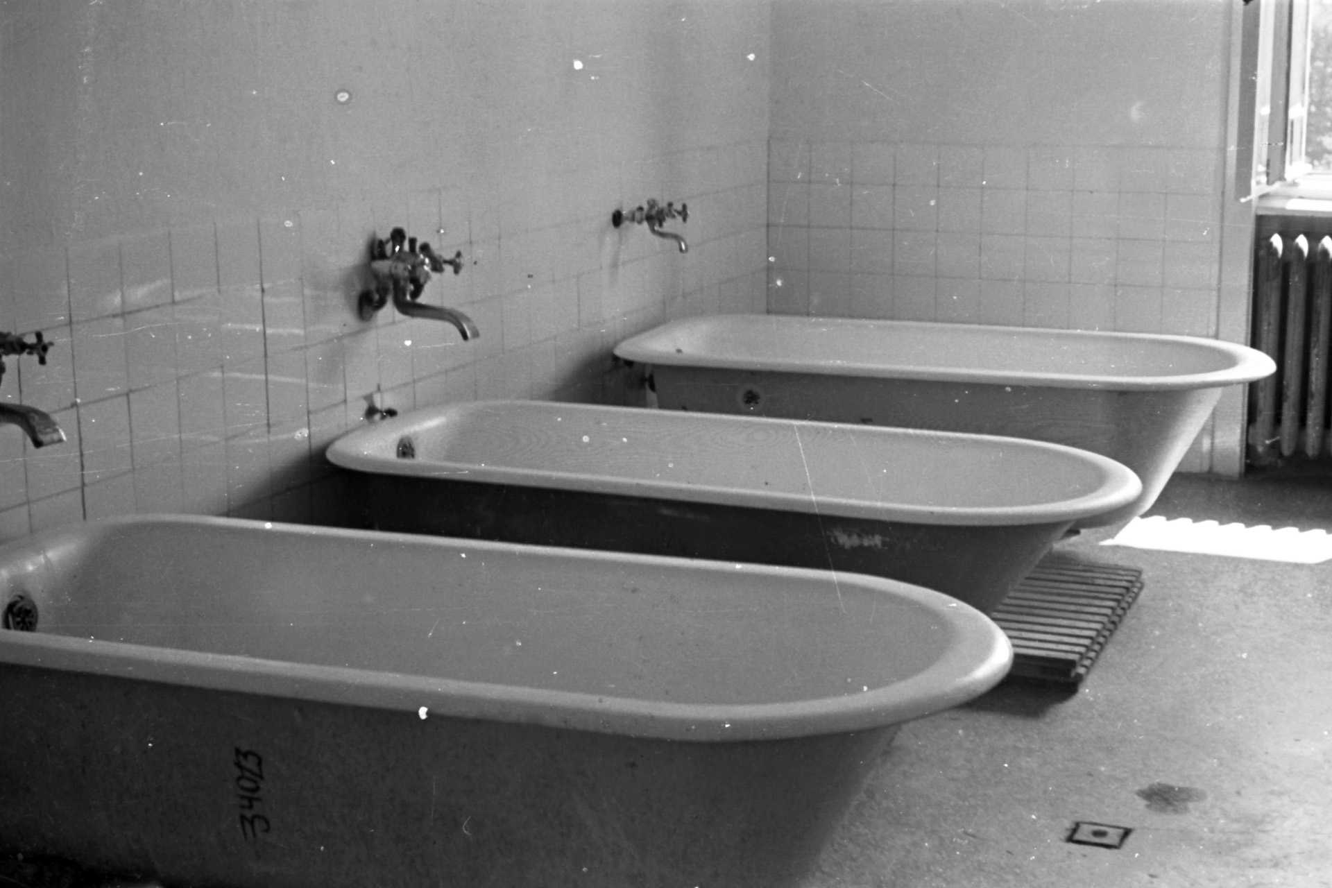 MÁV Nevelőintézet (1956)