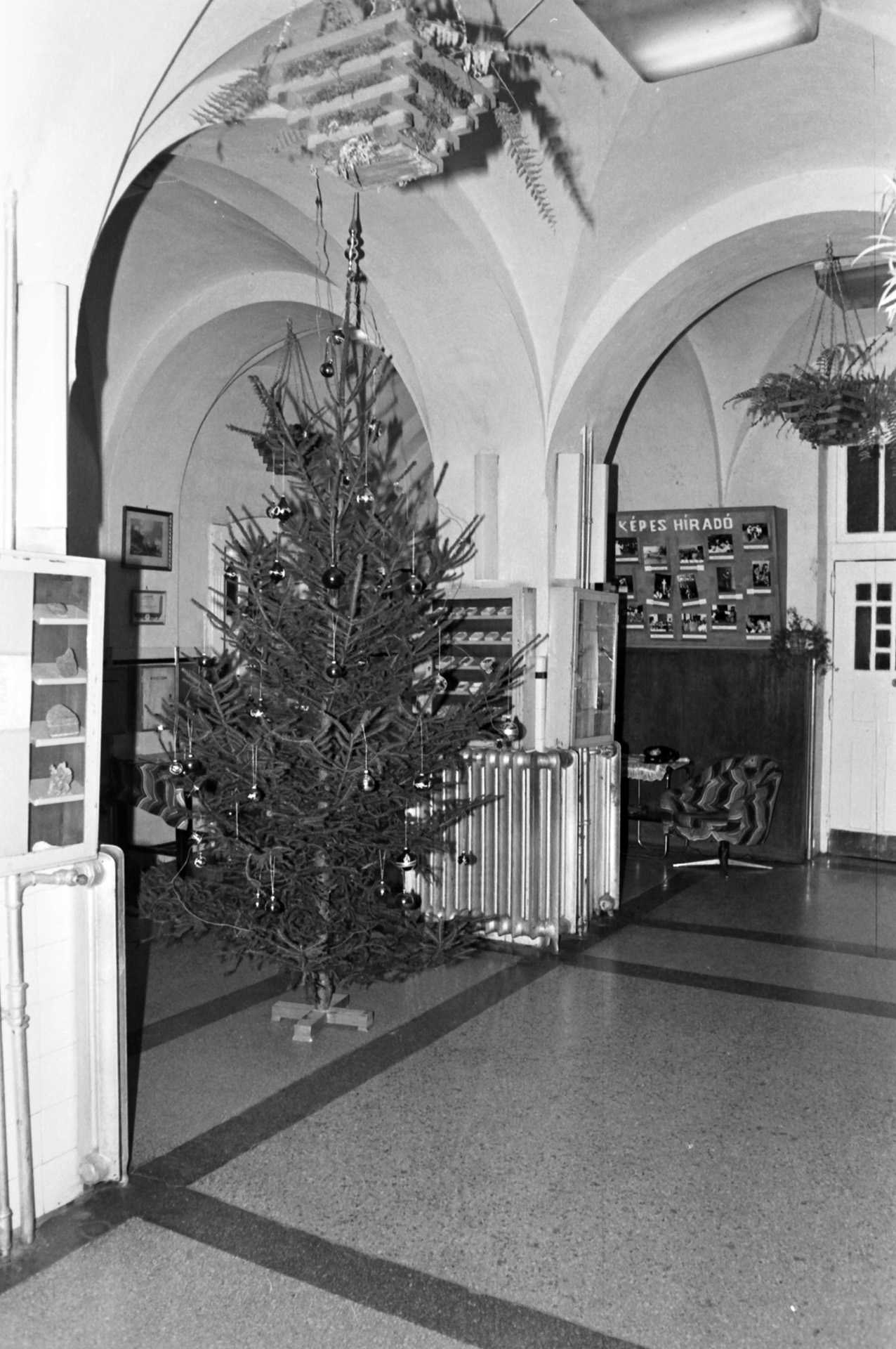 Karácsonyfa a MÁV Nevelőintézetben (1962)
