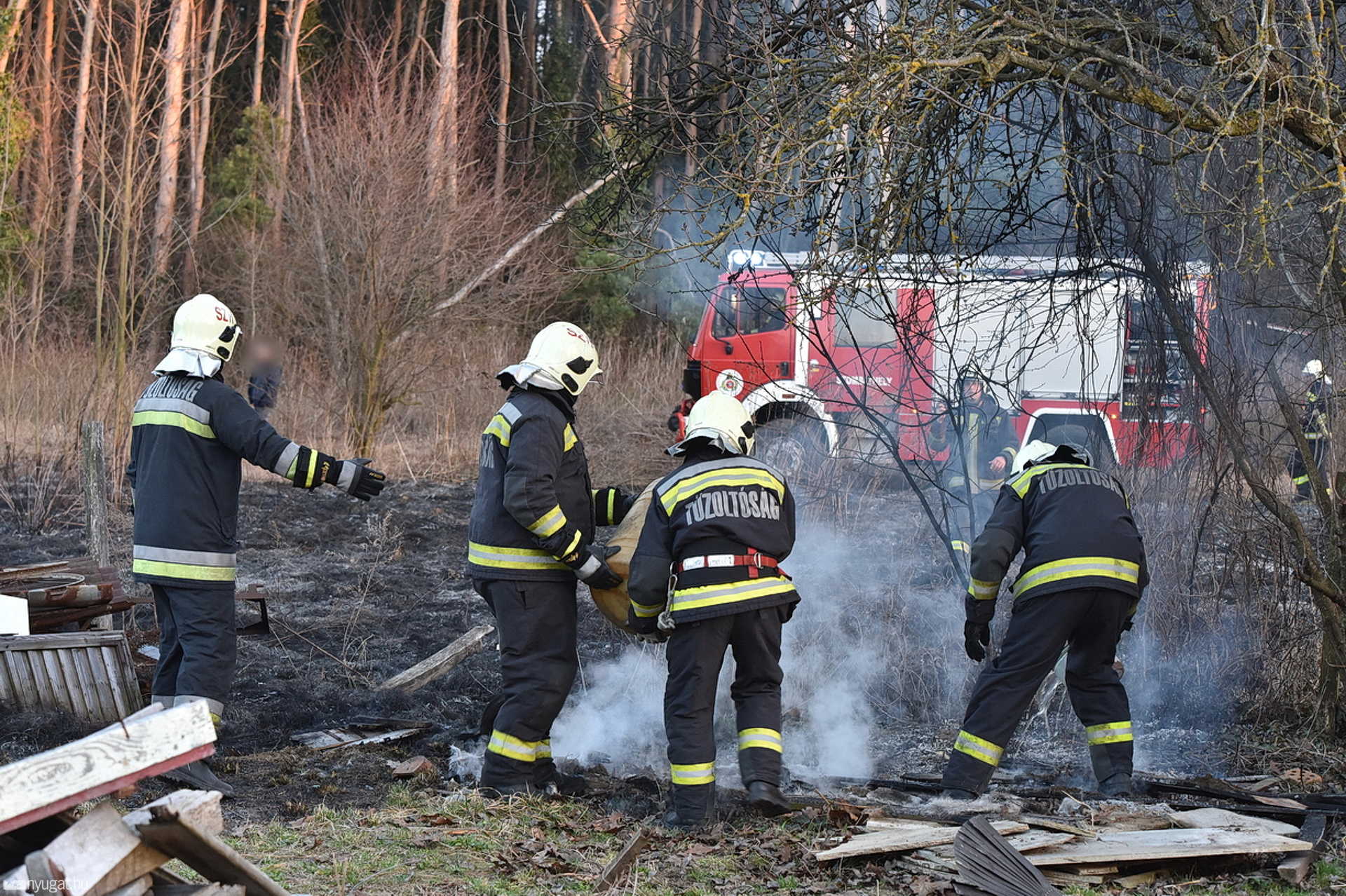 Sűrű fenyves közelében lángolt az aljnövényzet