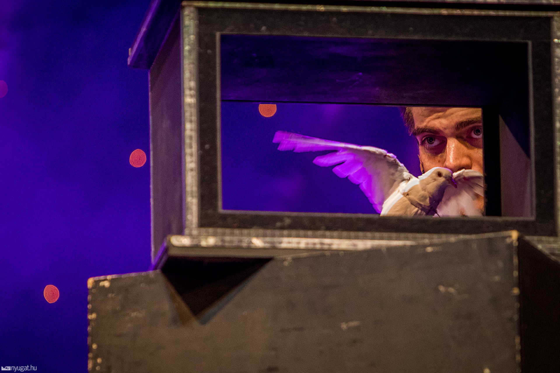 Magic - Nagy Jonathan illúzió show-ja
