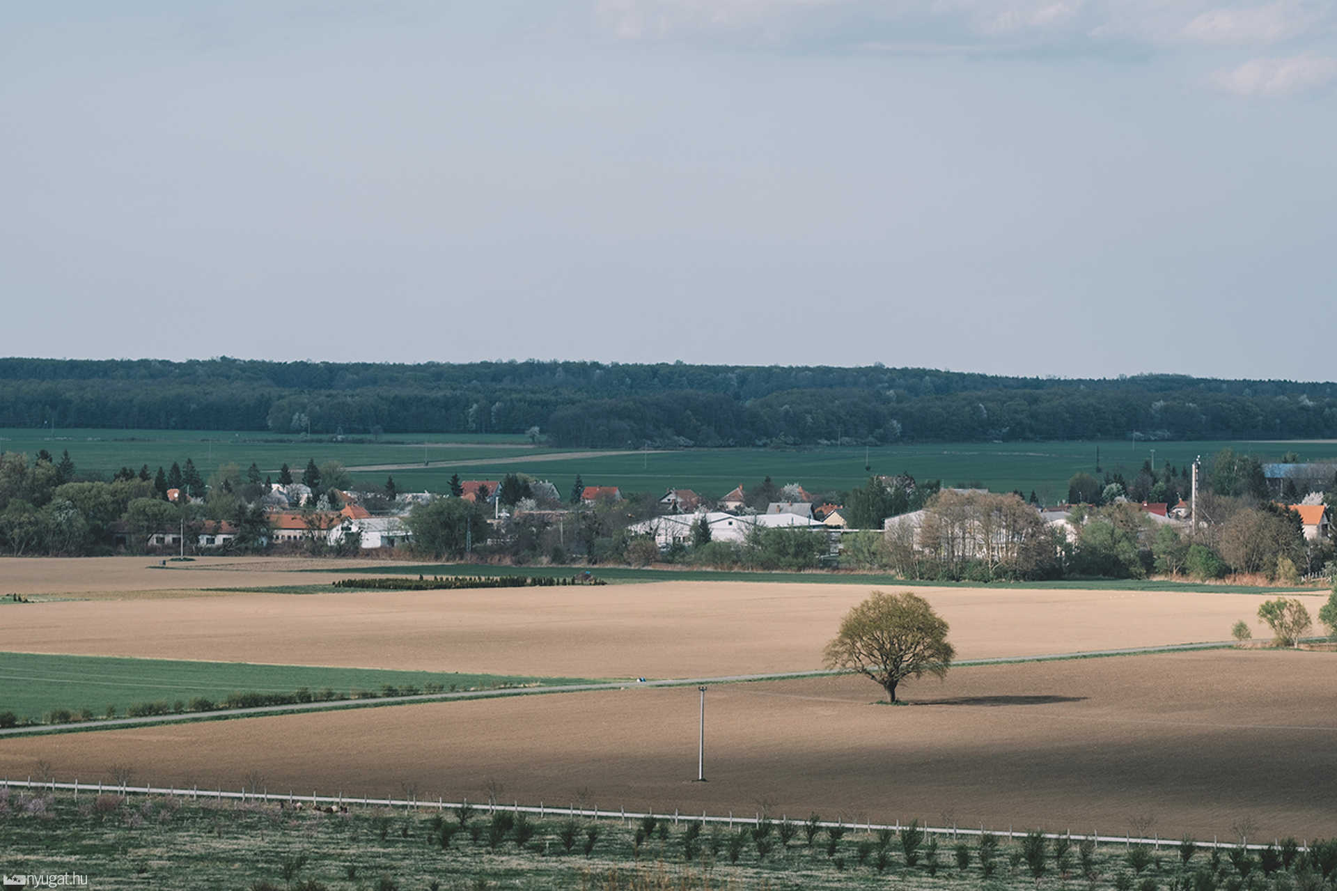 Lukácsháza, szőlőhegy