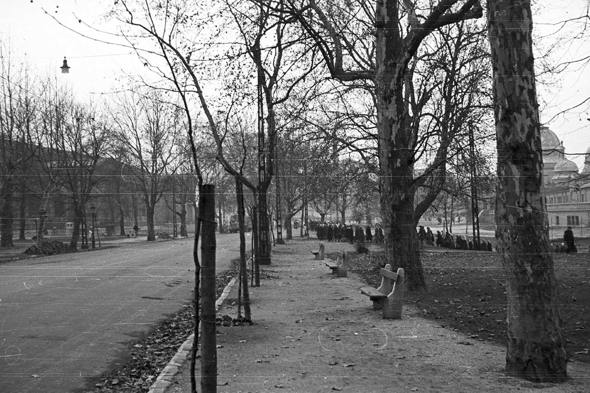 Olof Palme (Vorosilov) sétány, jobbra a Műjégpálya. Nőtüntetés, 1956. december 4.