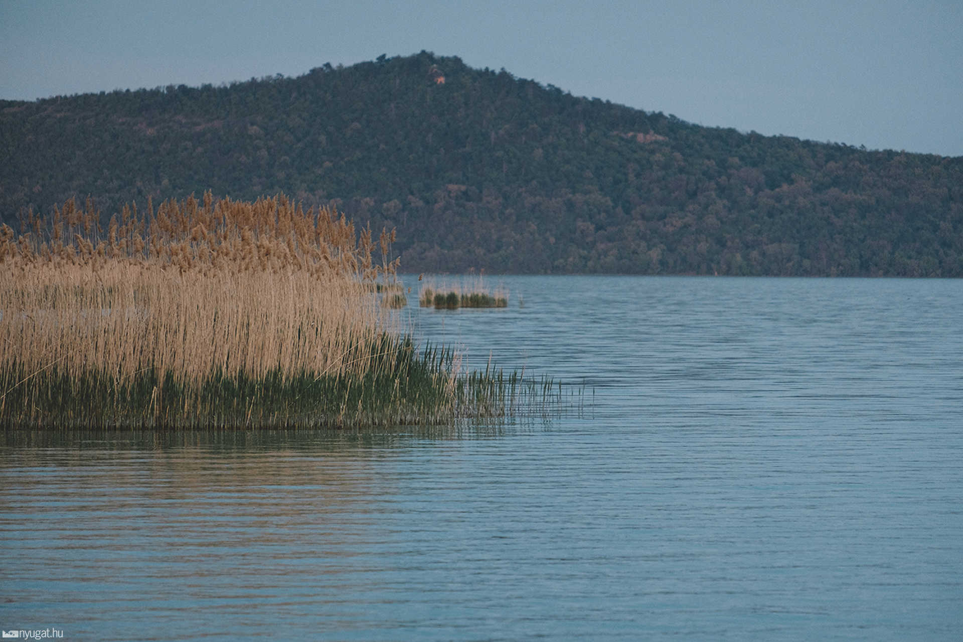 Balaton
