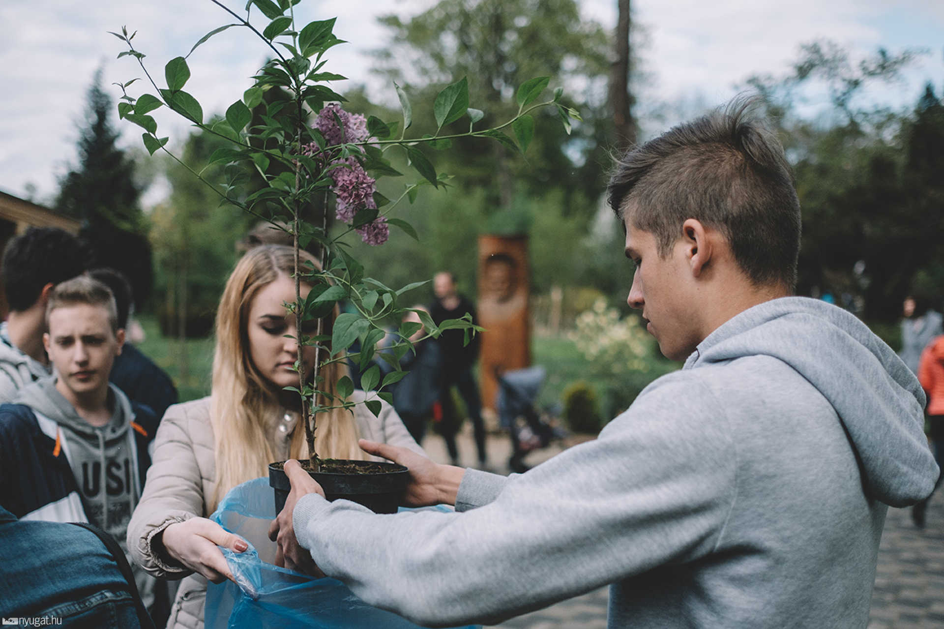 Fogadj örökbe egy fát! - akció az arborétumban