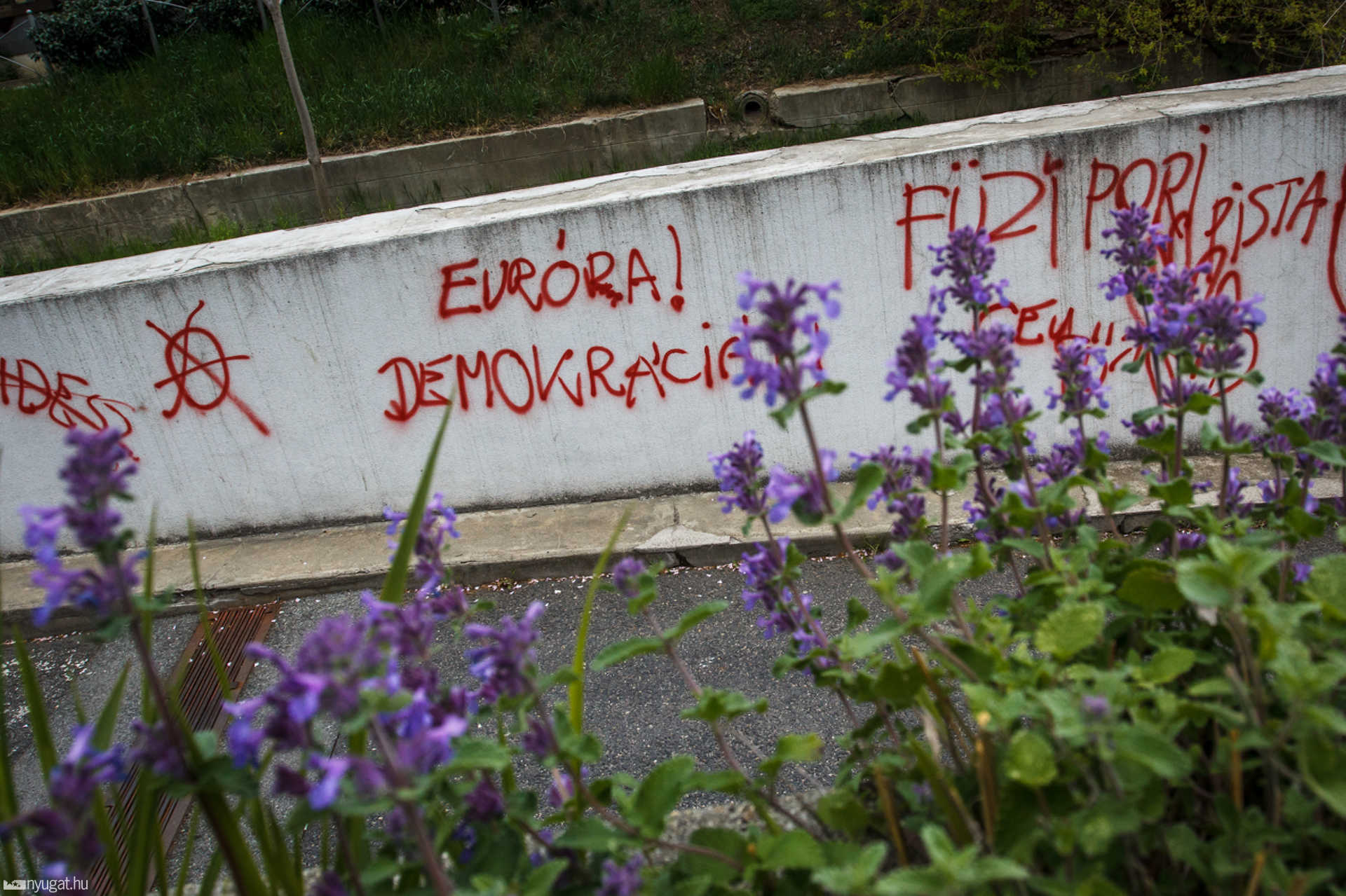 CEU-támogató graffitik Szombathelyen