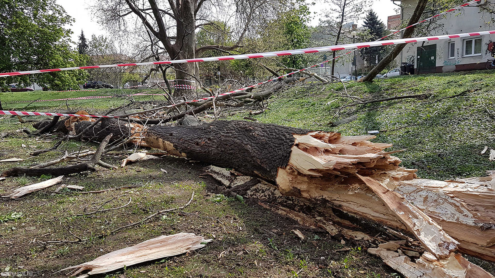 A Pelikán parkban is pusztított a szél
