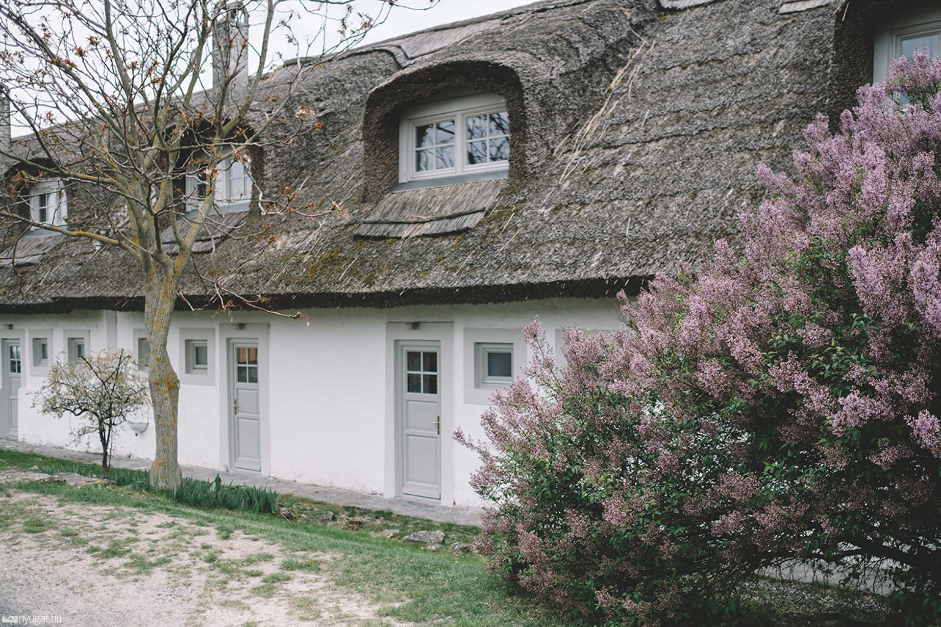 Köveskál