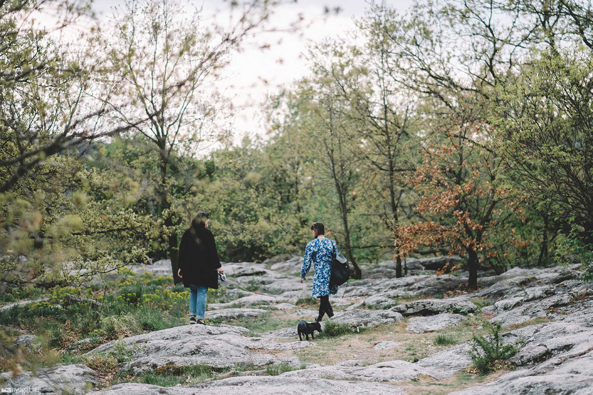 Kőtenger - Szentbékálla