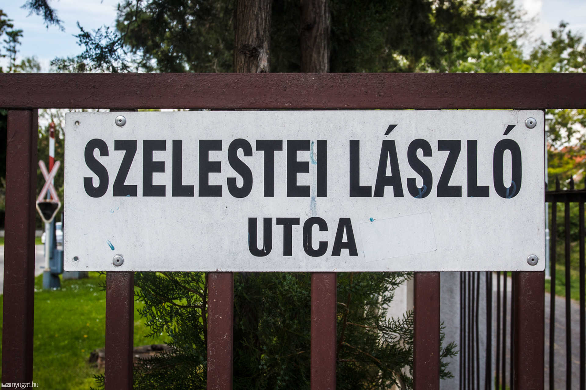 Szelestey - Szelestei