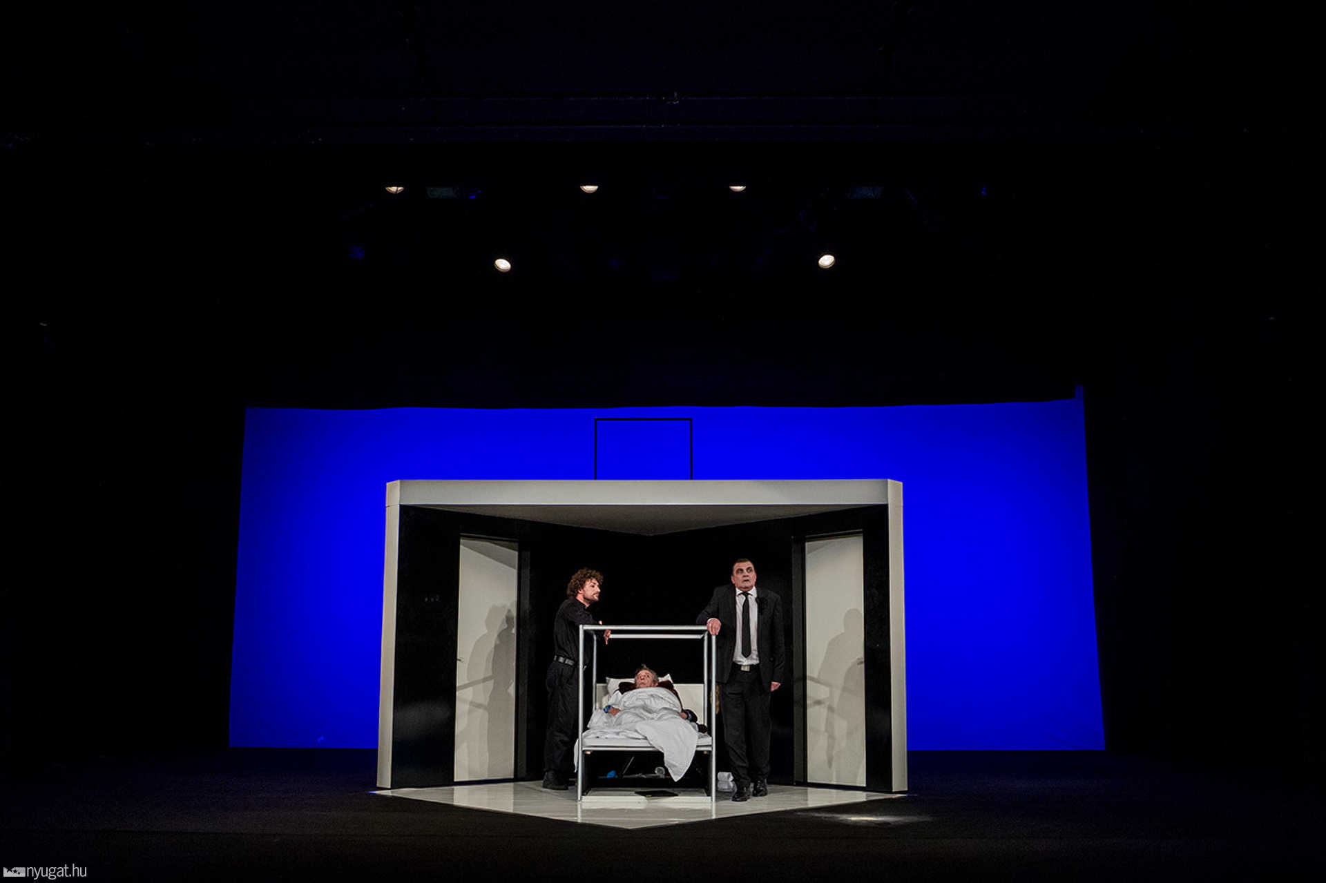 WSSZ: Volpone