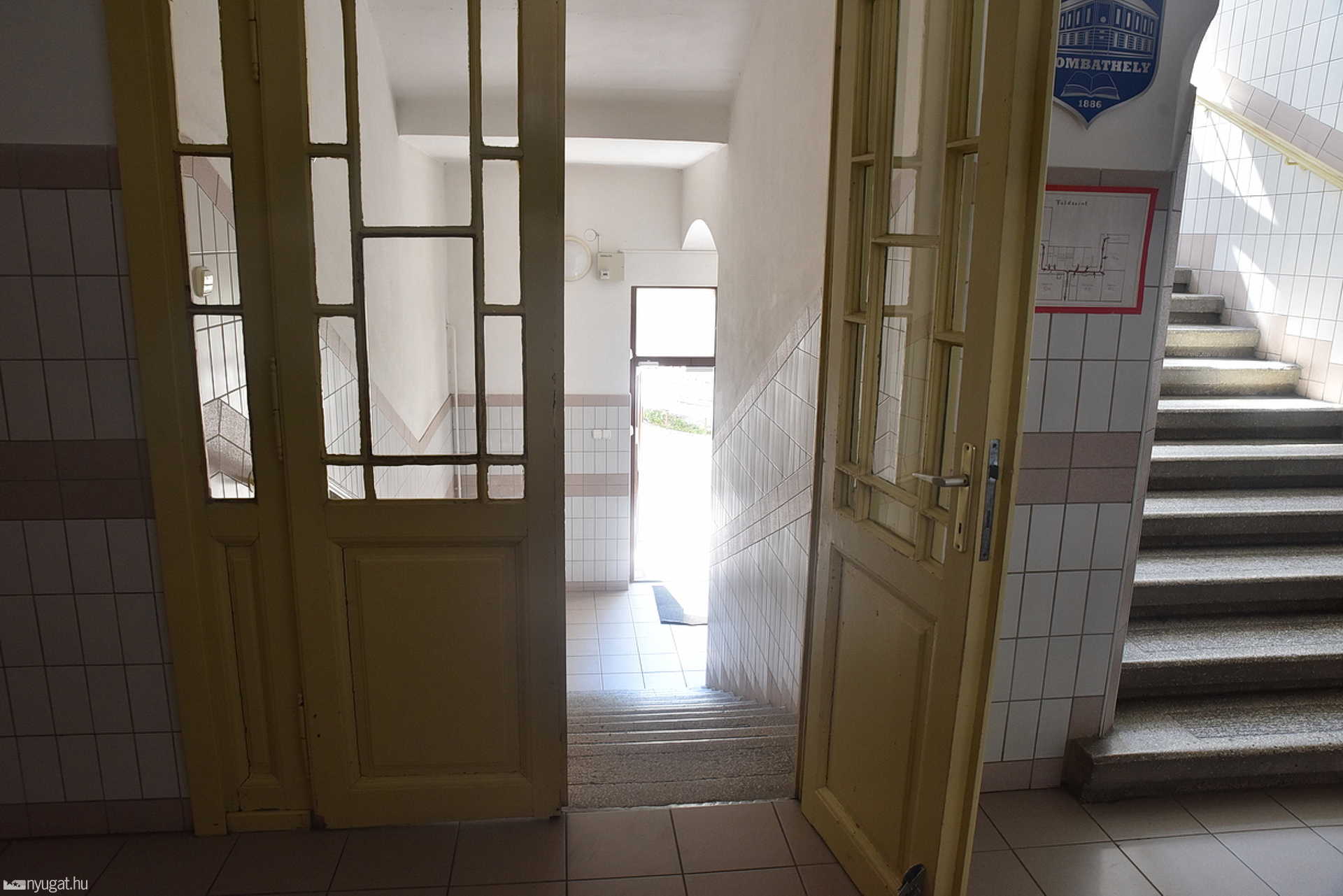 Őz rohant át a Zrínyi iskolán