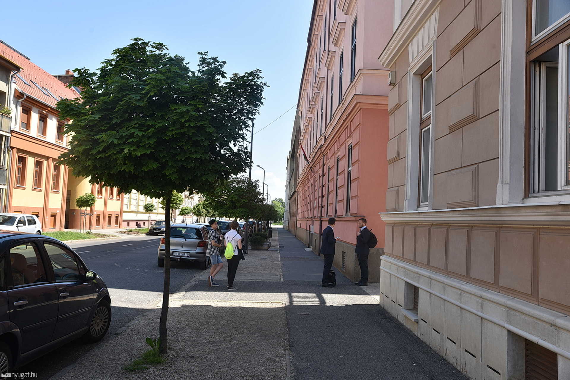Őz rohant át a Zrínyi iskolán
