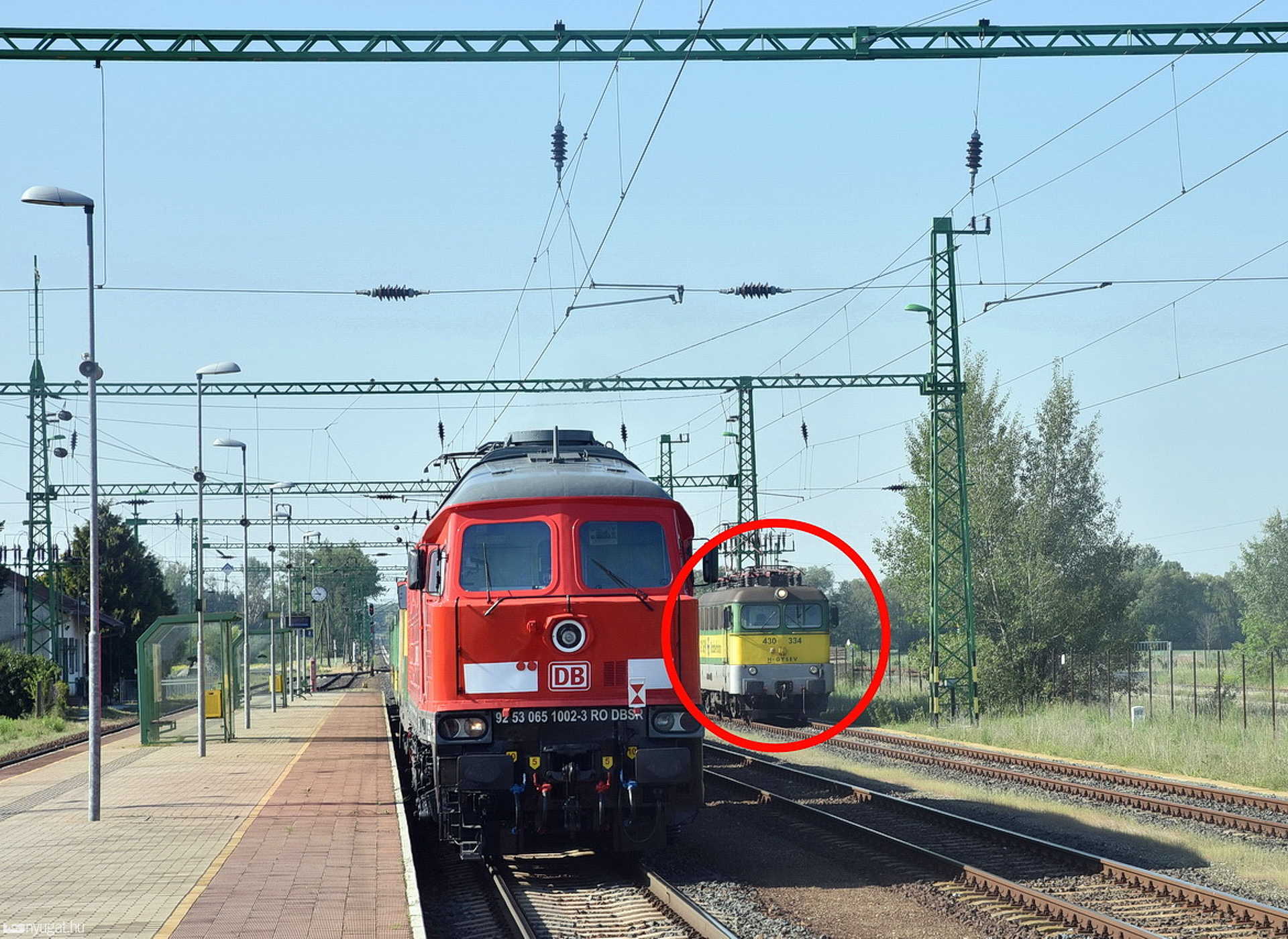 Szarvascsordát gázolt a személyvonat Kisunyom közelében