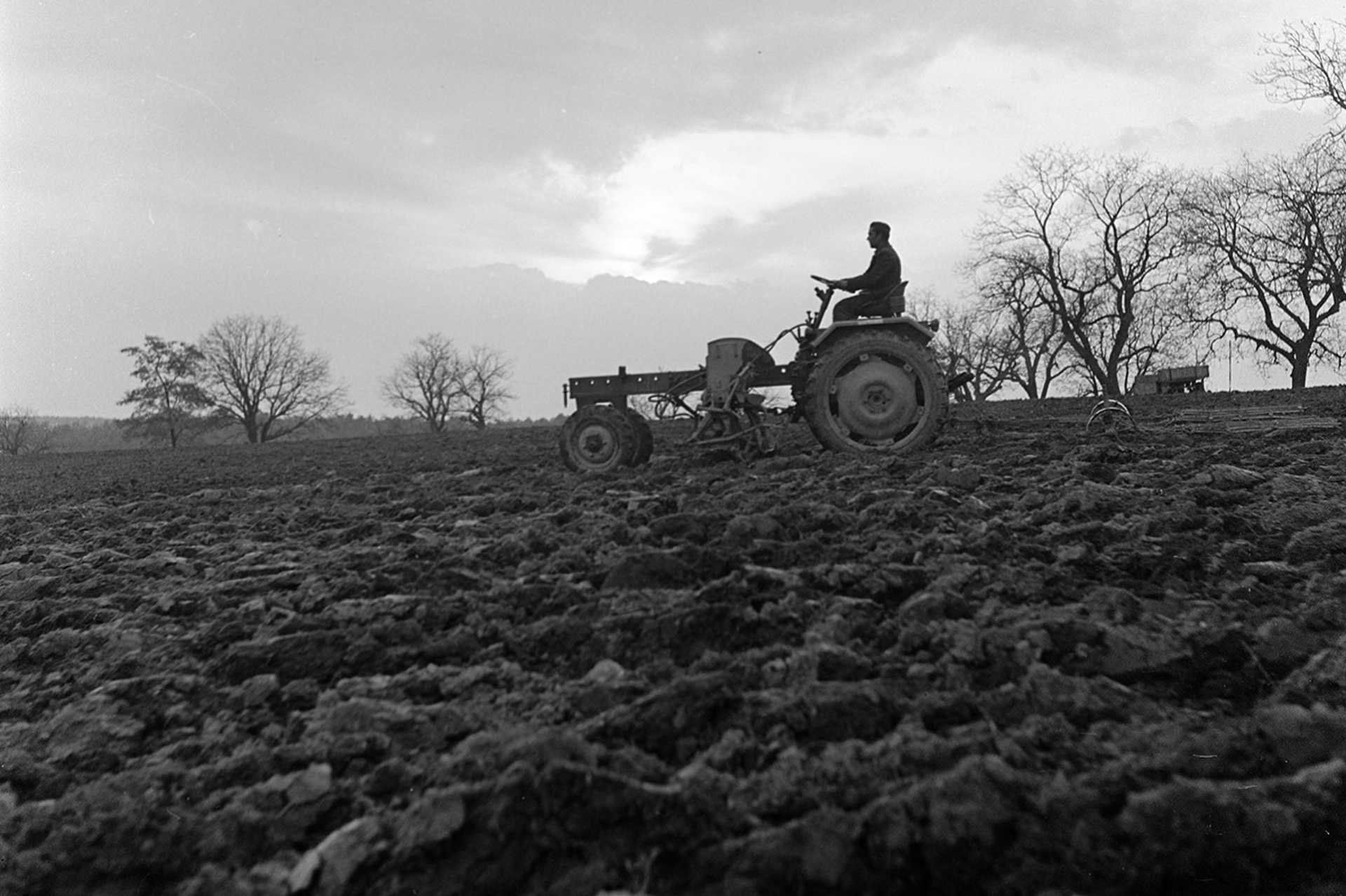 Földművelés traktorral, 1959.