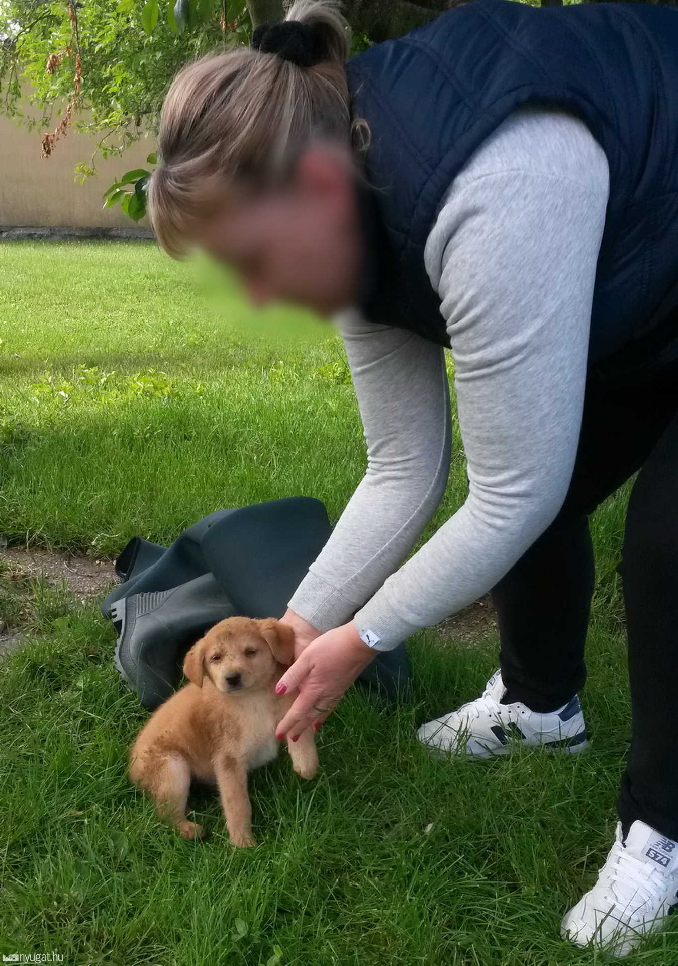 Kútból mentettek kiskutyát a celldömölki tűzoltók