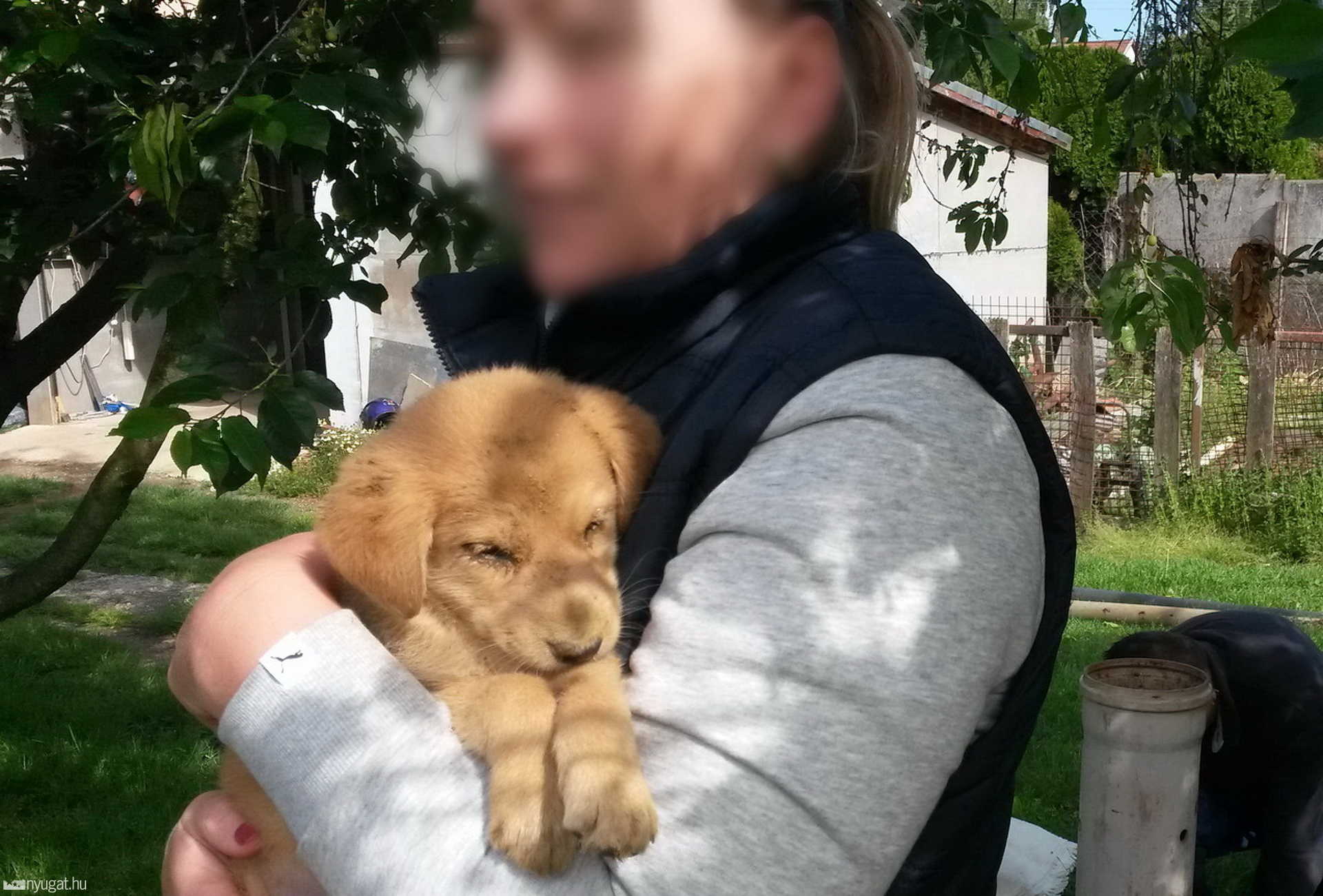 Kútból mentettek kiskutyát a celldömölki tűzoltók