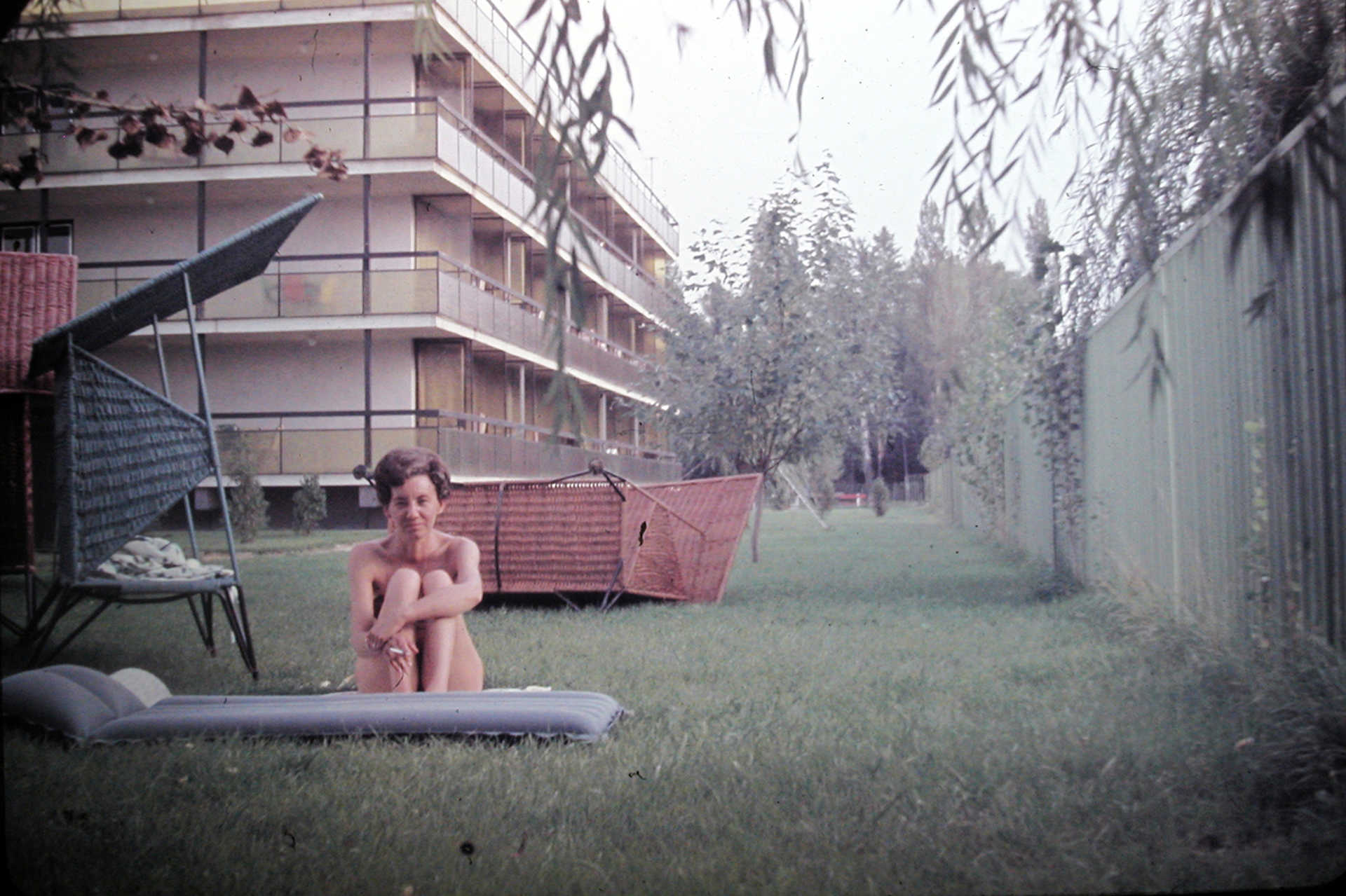 Női portré, 1964.