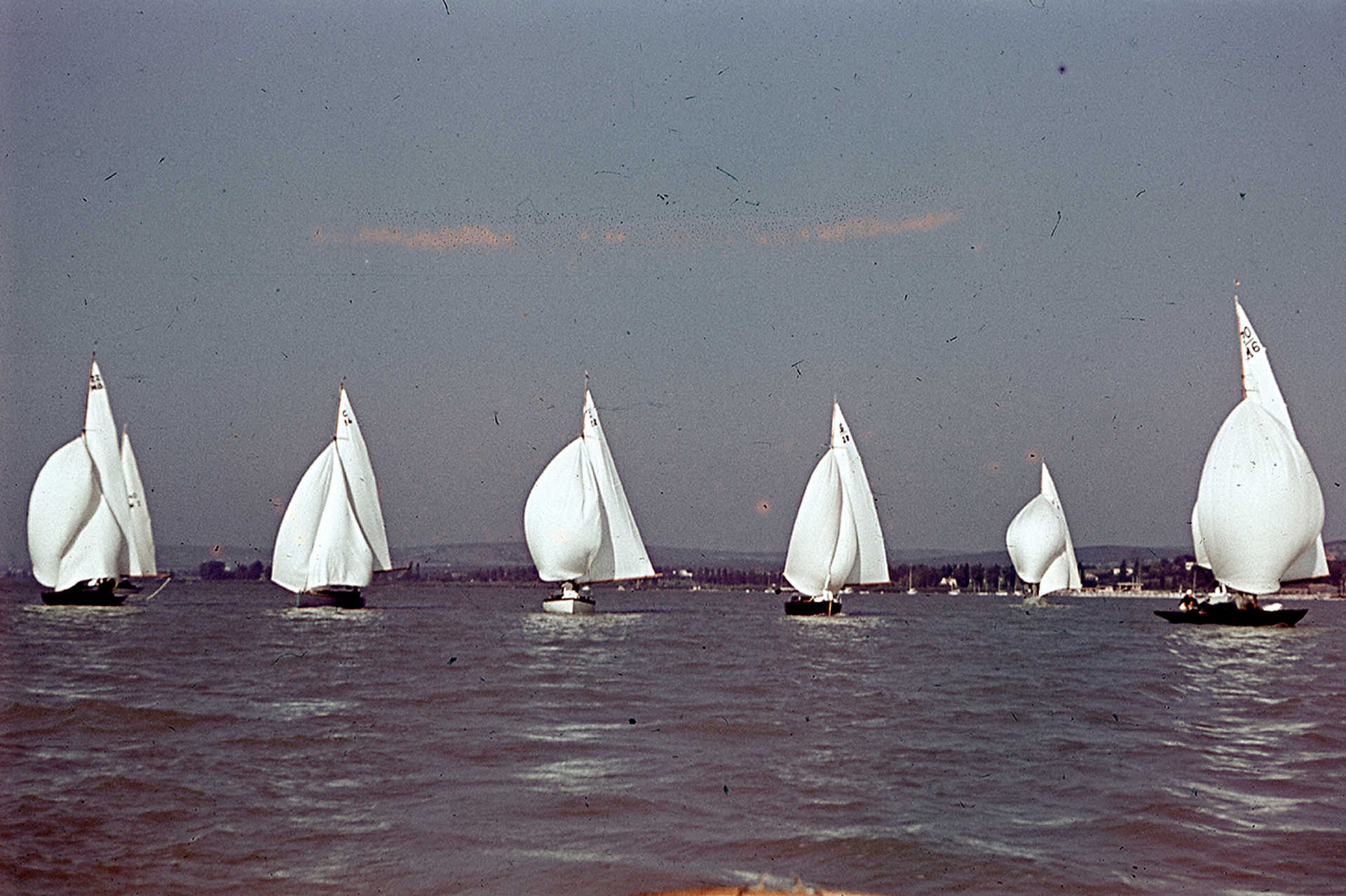Kékszalag vitorlásverseny Balatonfüred térségében, 1941.