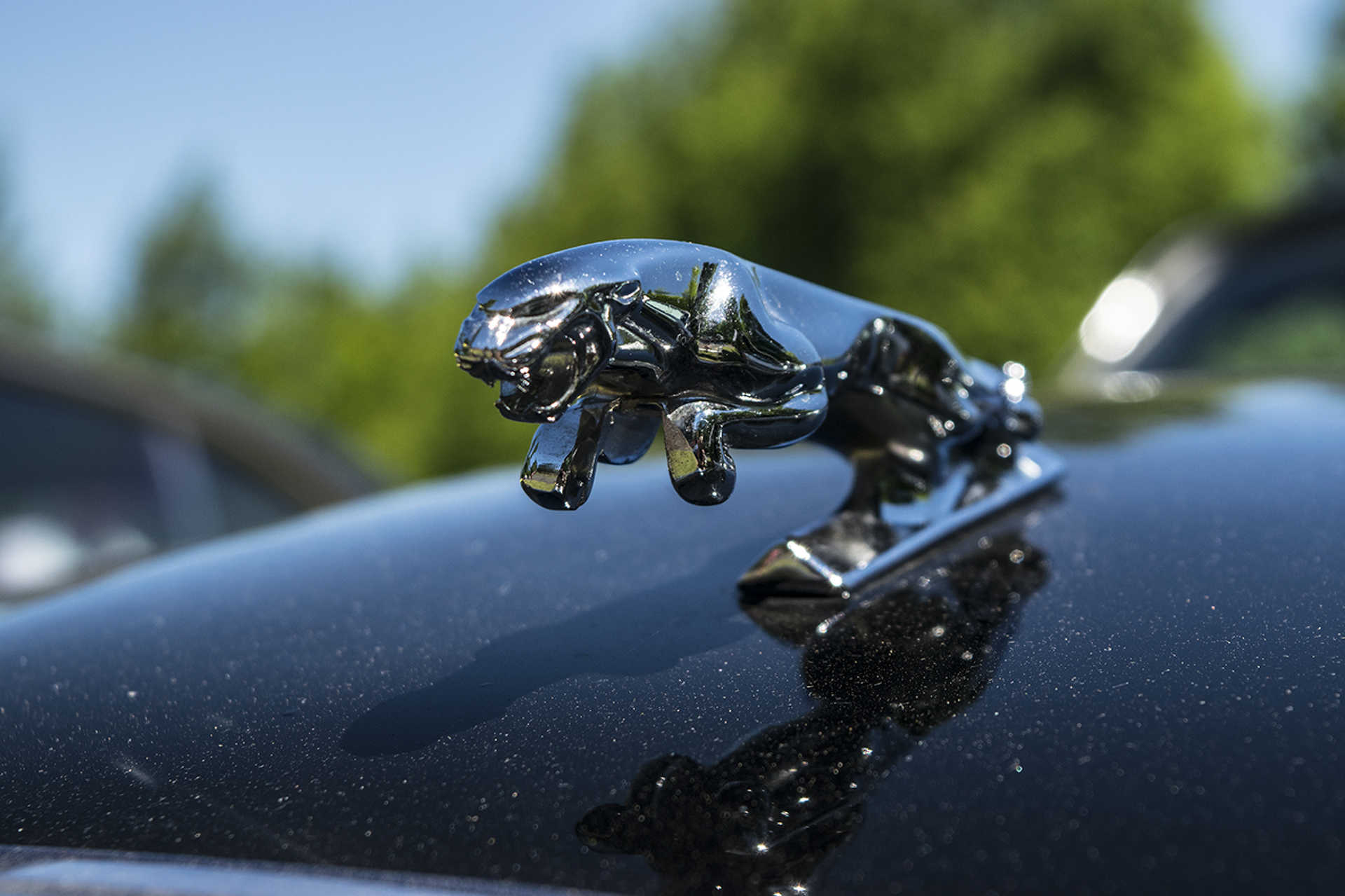 Lotus Retro Veteránautó Szépségverseny és Luxusautó kiállítás