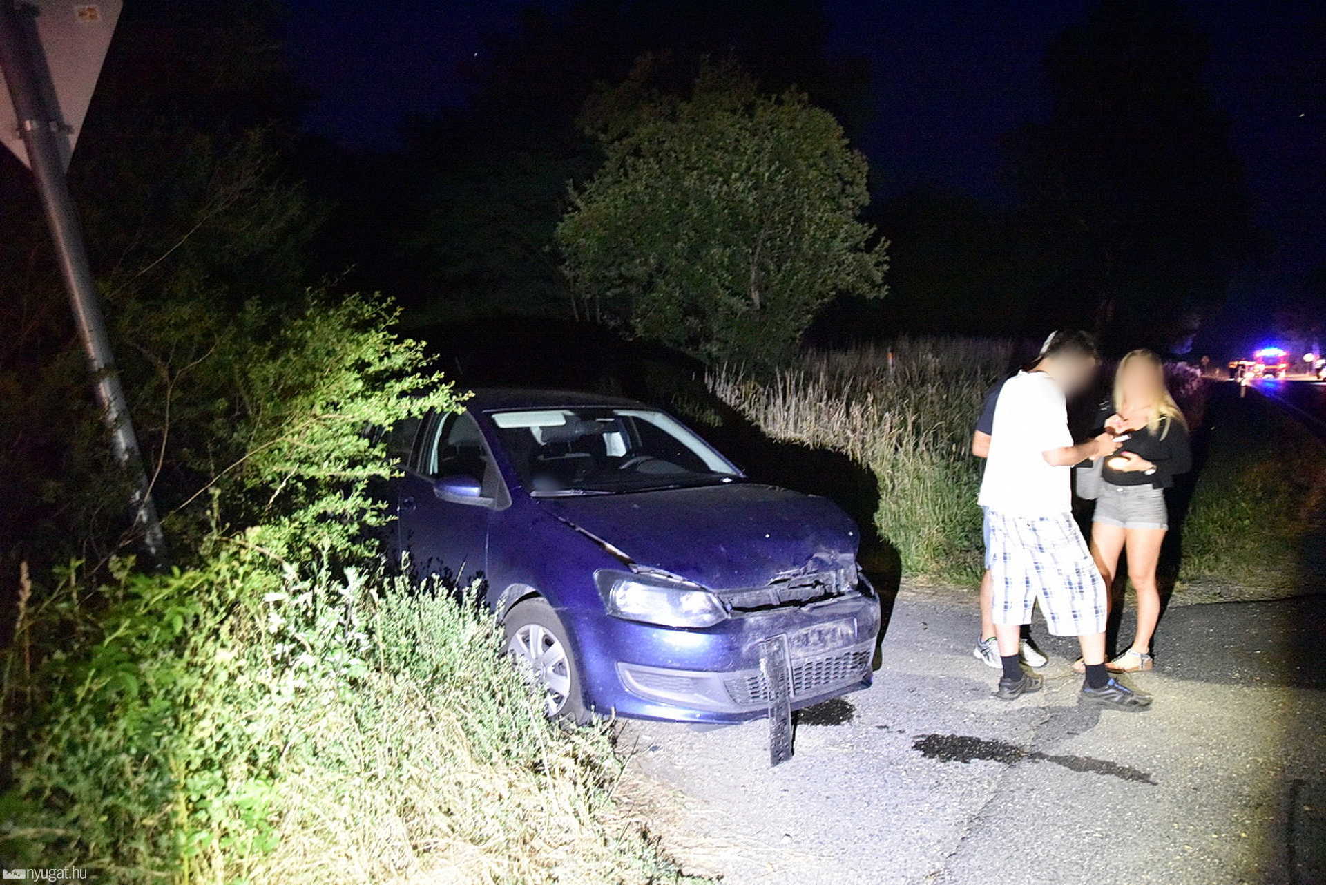 Két autó is elütötte a vemhes vaddisznót Kissomlyónál