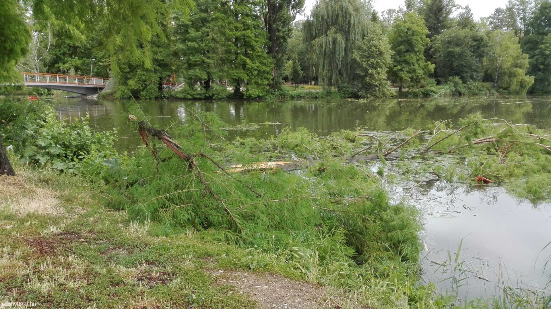 Tájkép a vihar után