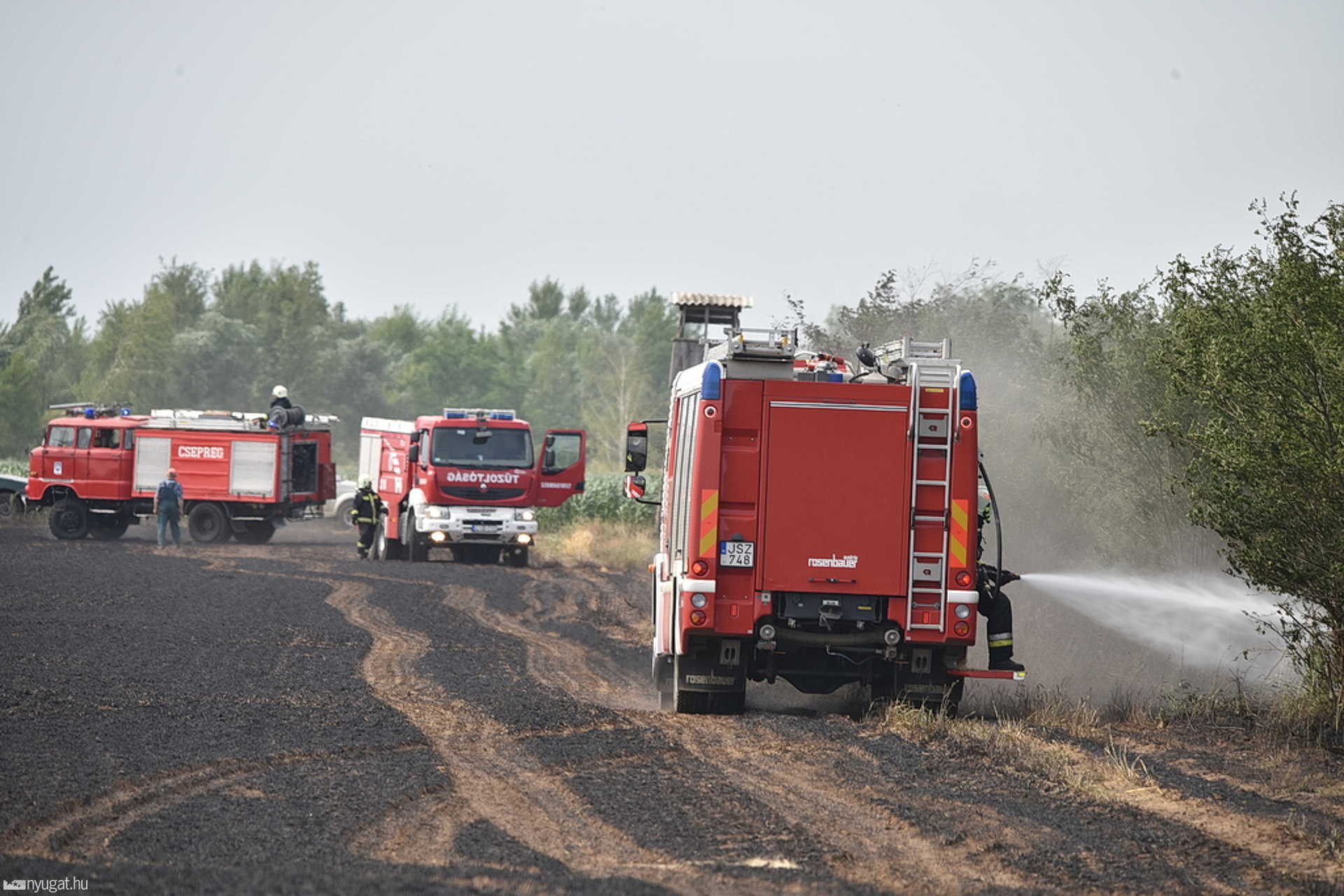 Gabonatábla és erdő égett Lócs közelében