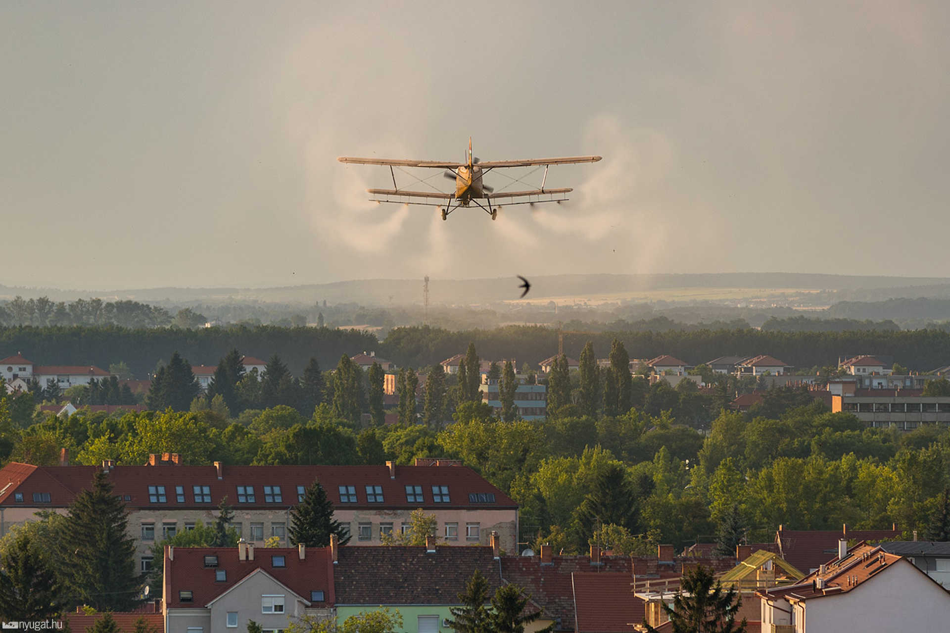 Szúnyoggyérítés egy AN-2 típusú repülőgéppel