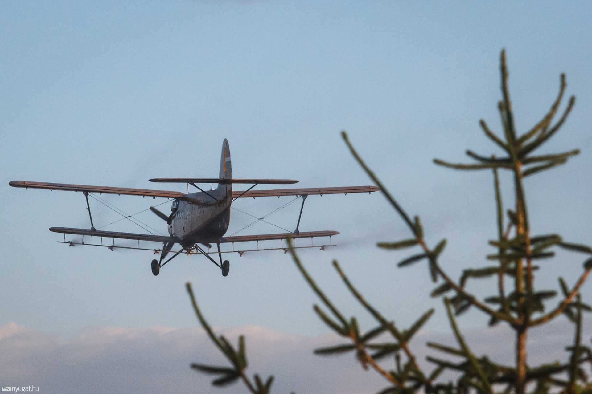 Szúnyoggyérítés egy AN-2 típusú repülőgéppel