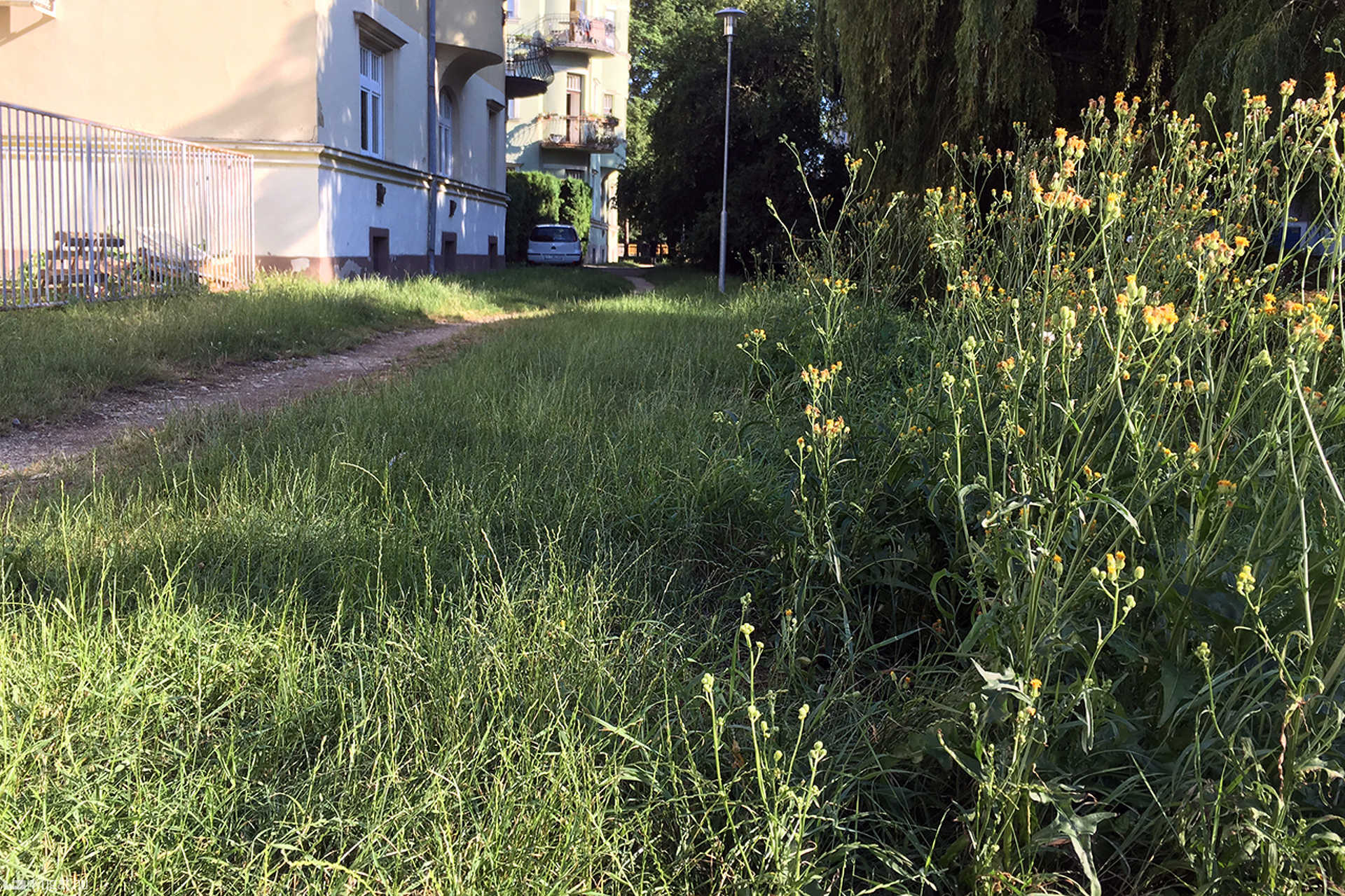 Gazos patakpart a belvárosban
