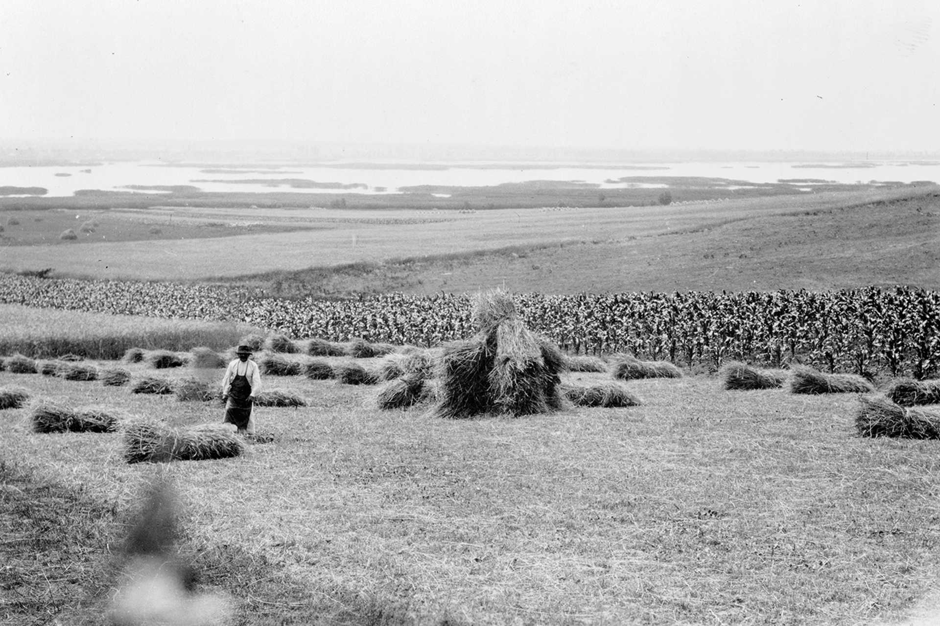 Velencei-tó, északi part, 1930.