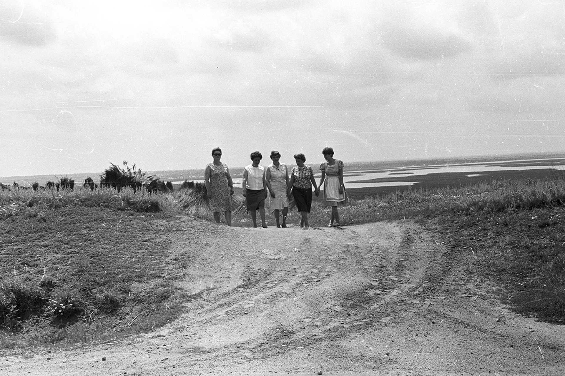 Északi part Sukoró irányából Gárdony felé nézve, 1964.