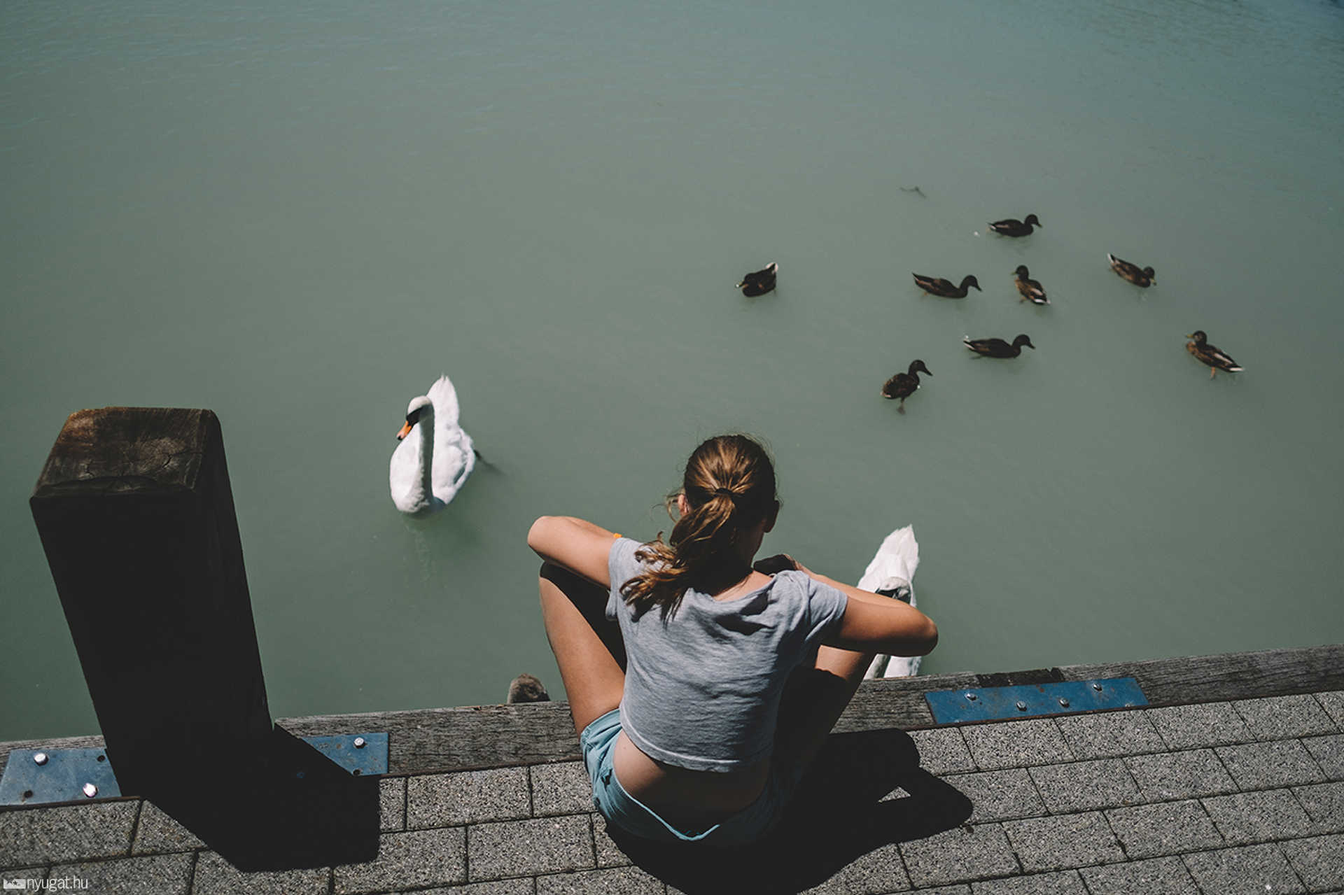 Balaton